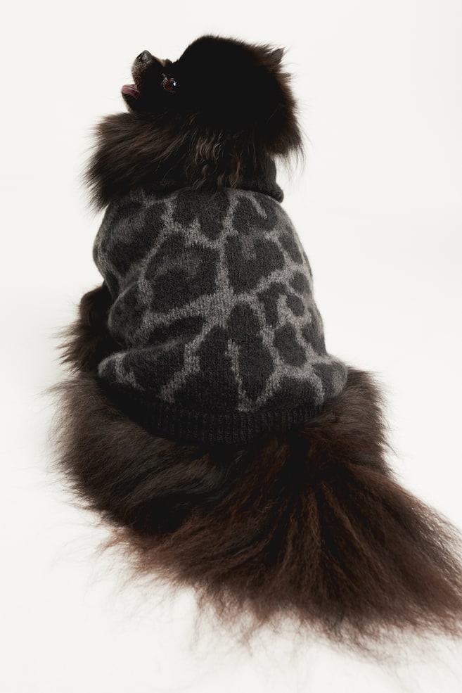 Pull jacquard pour chien-Noir/imprimé léopard - 5