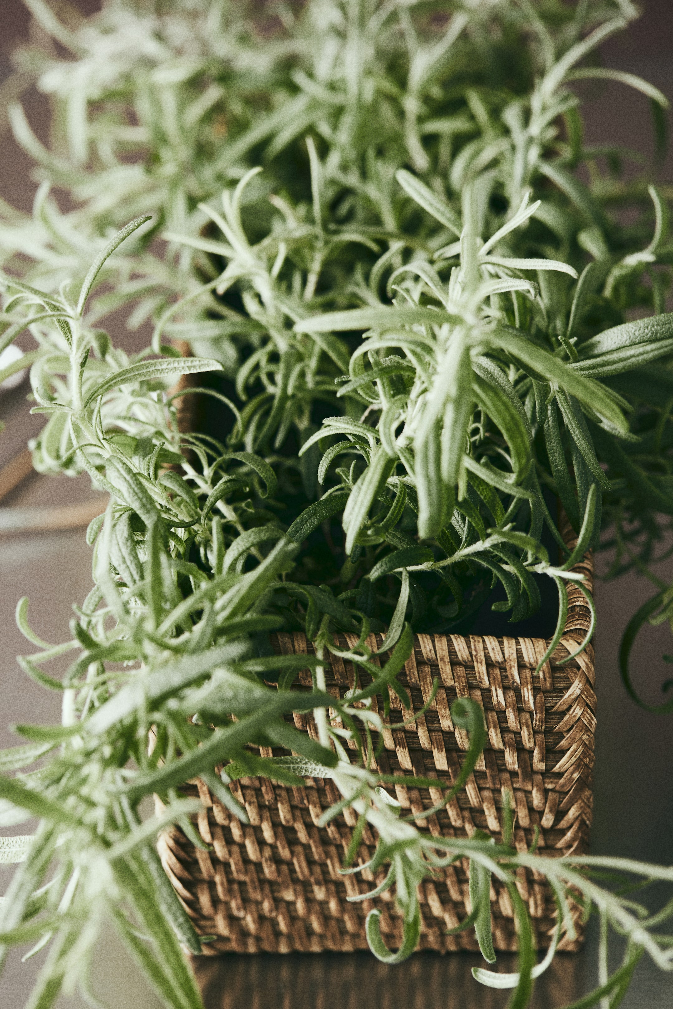 Rattan Storage Basket