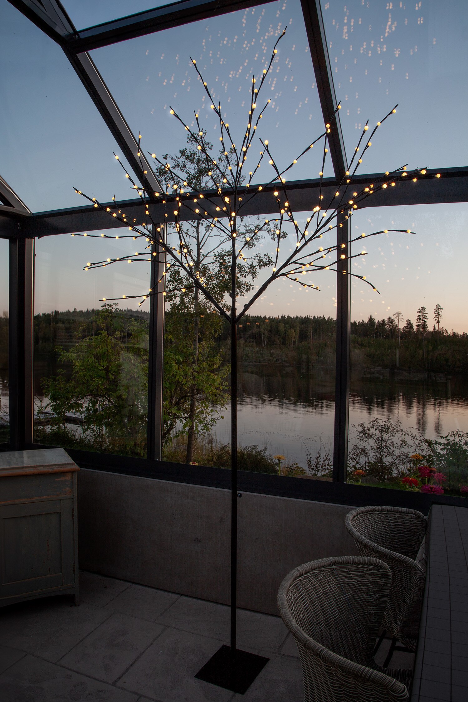 Koristepuu Albero - Musta