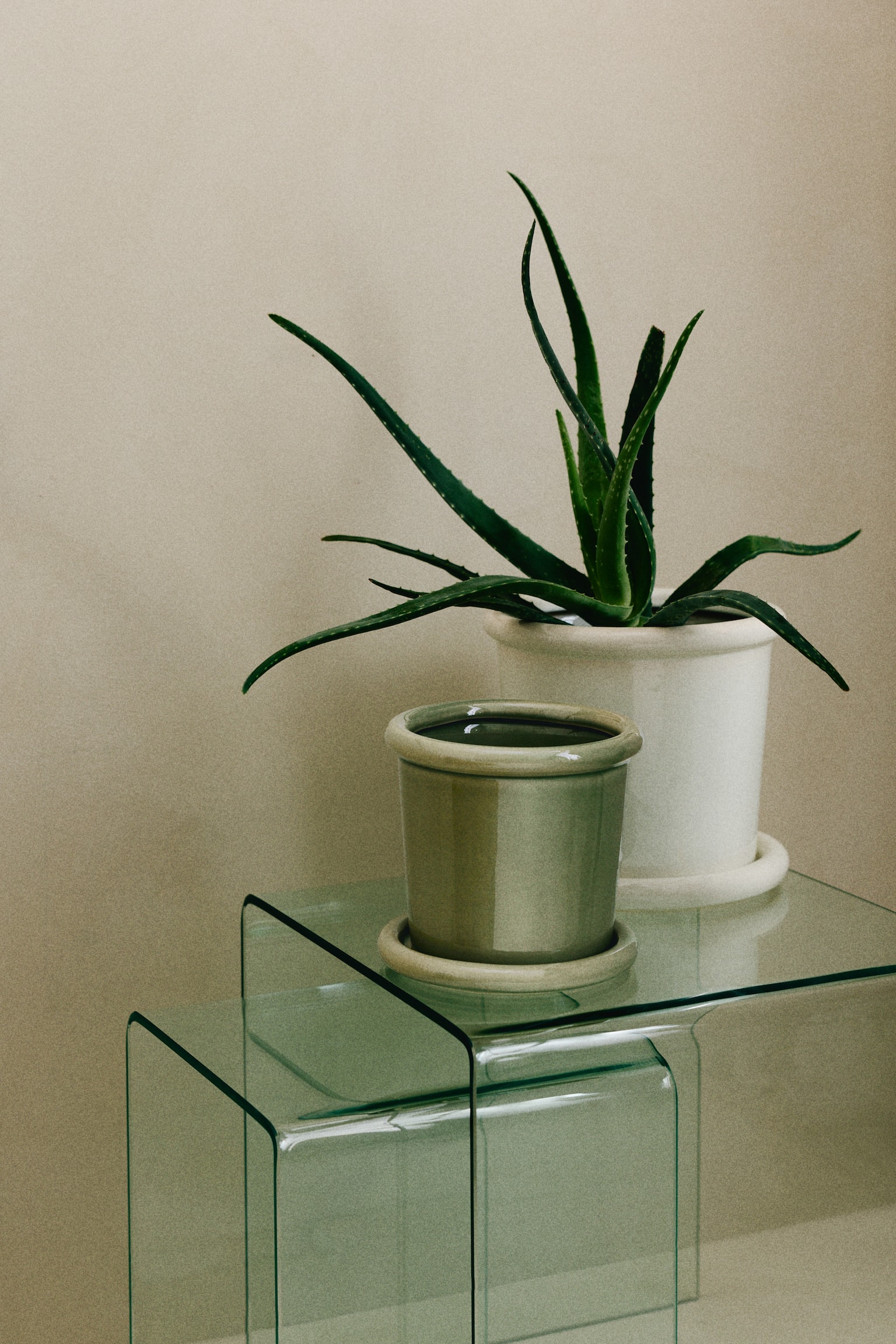 עציץ קרמיקה עם תחתית - ירוק בהיר/חום כהה/לבן - 2