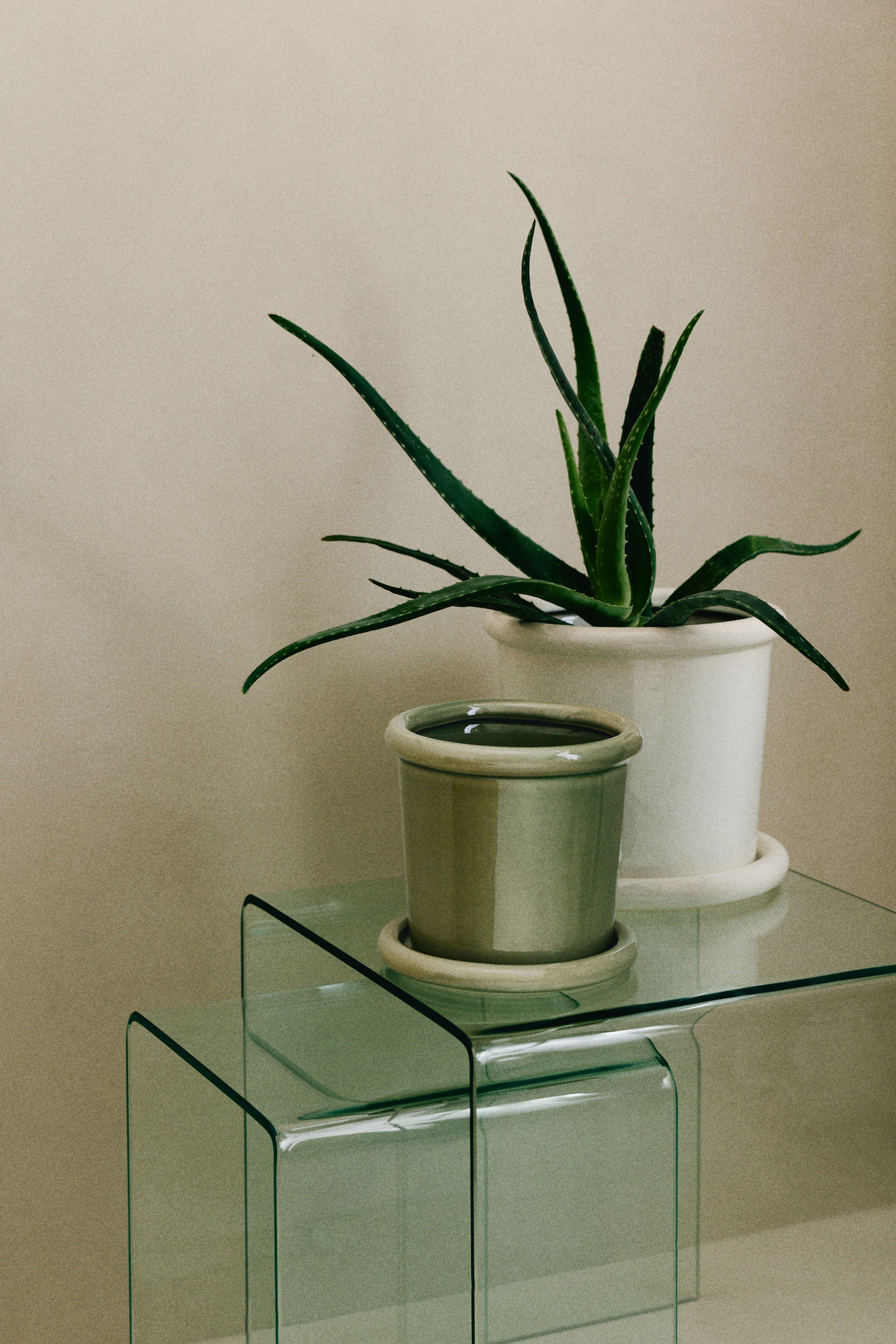 View larger image: Stoneware Plant Pot with Saucer - Light green | H&M CA 1