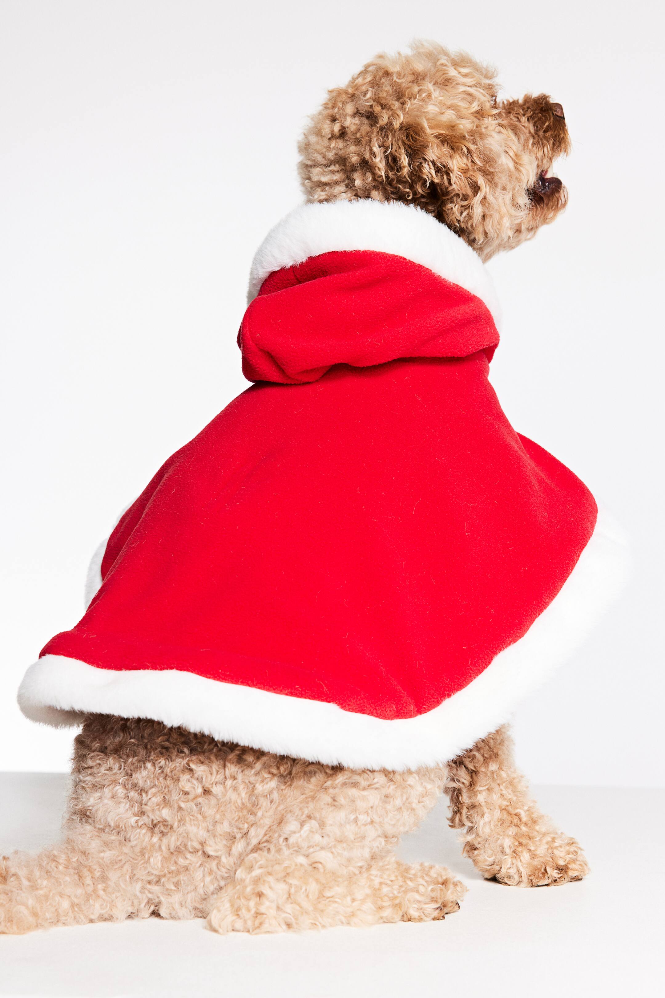 Dog cape - Red - Ladies | H&M GB