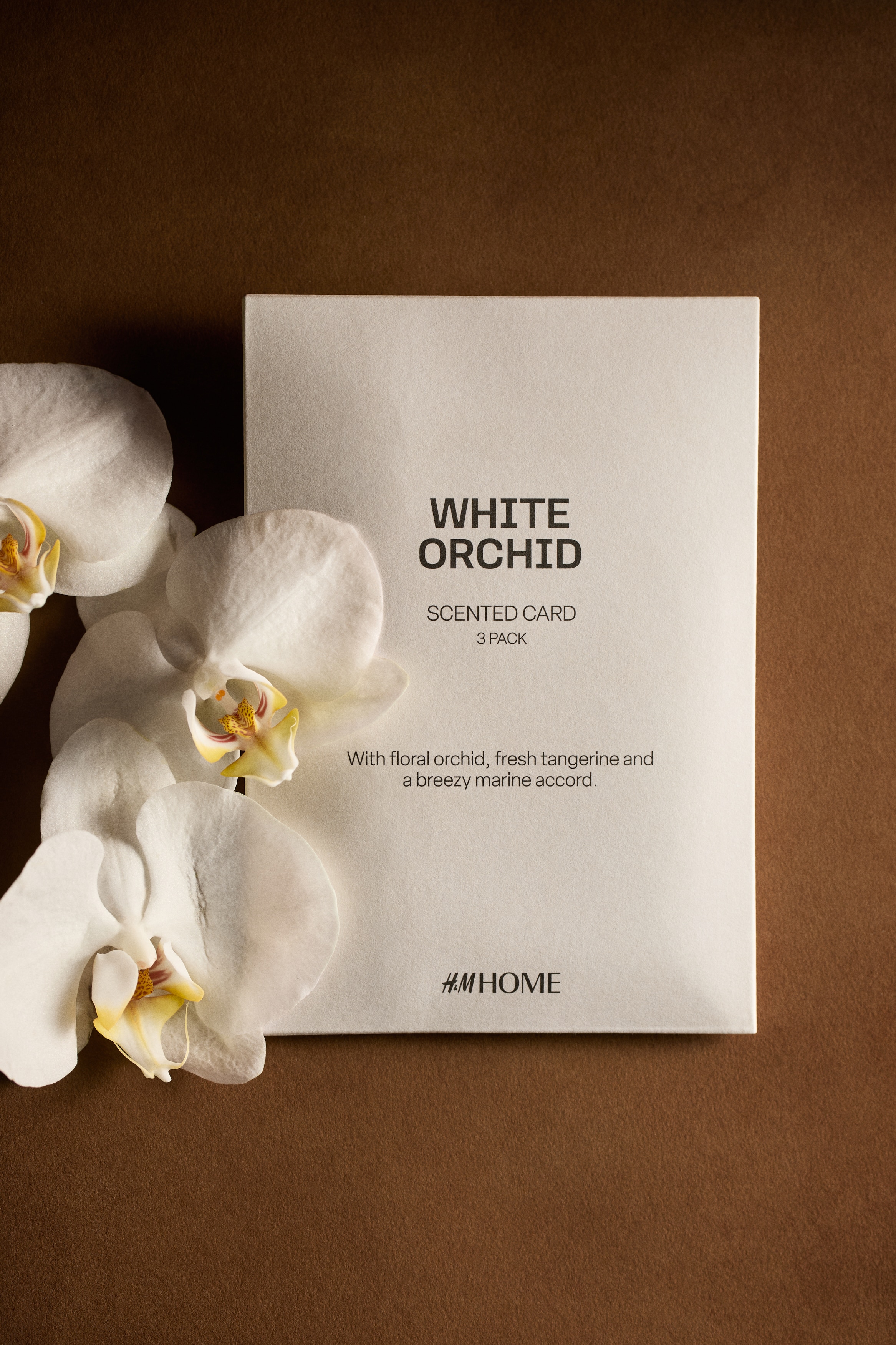 3-Pack Scented Cards - White Orchid - Home All | H&M US