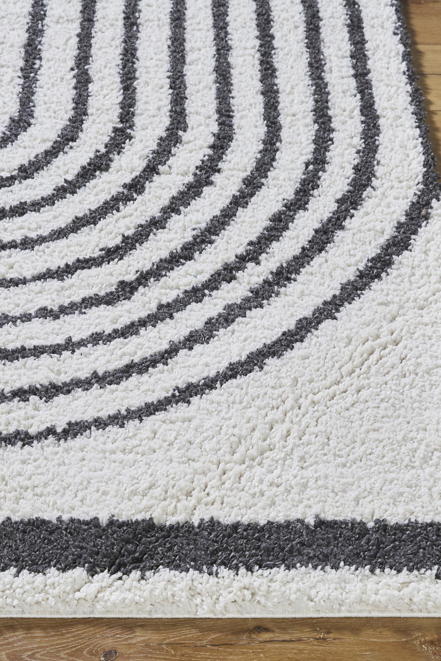 Pihu Modern Shaggy Area Rug - Ivory, Black - 4