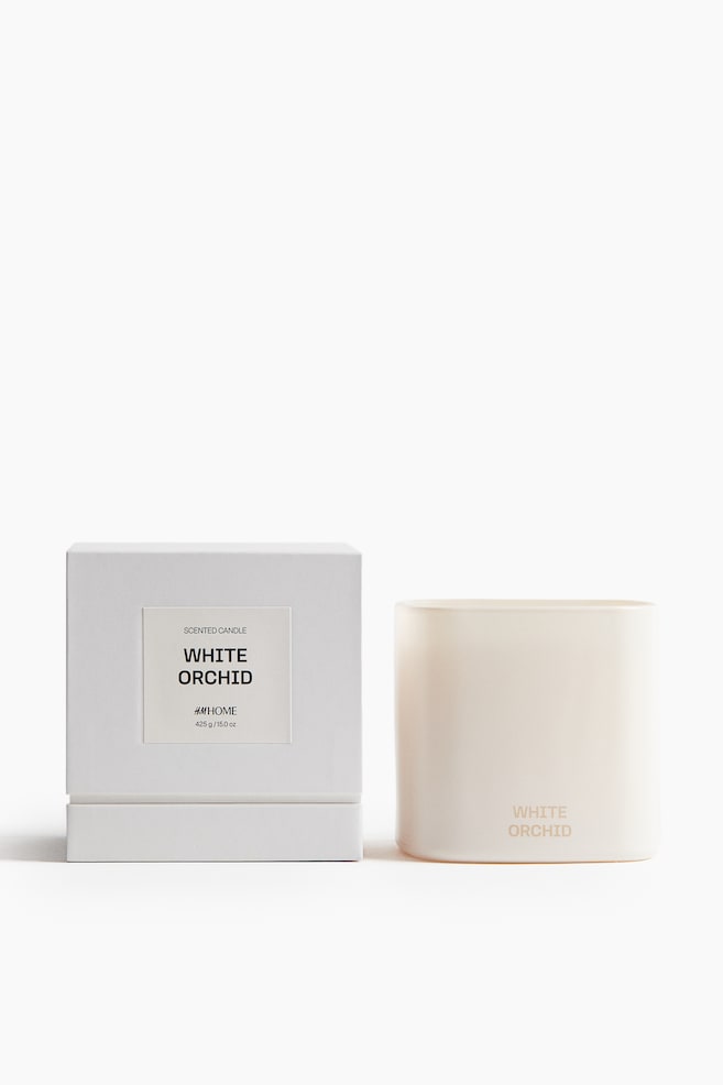 Large Scented Candle in Glass Holder - White Orchid/Cedarwood Zen/Velvet Pistachio/Juniper Haze/Dark Honey/Golden Saffron - 1