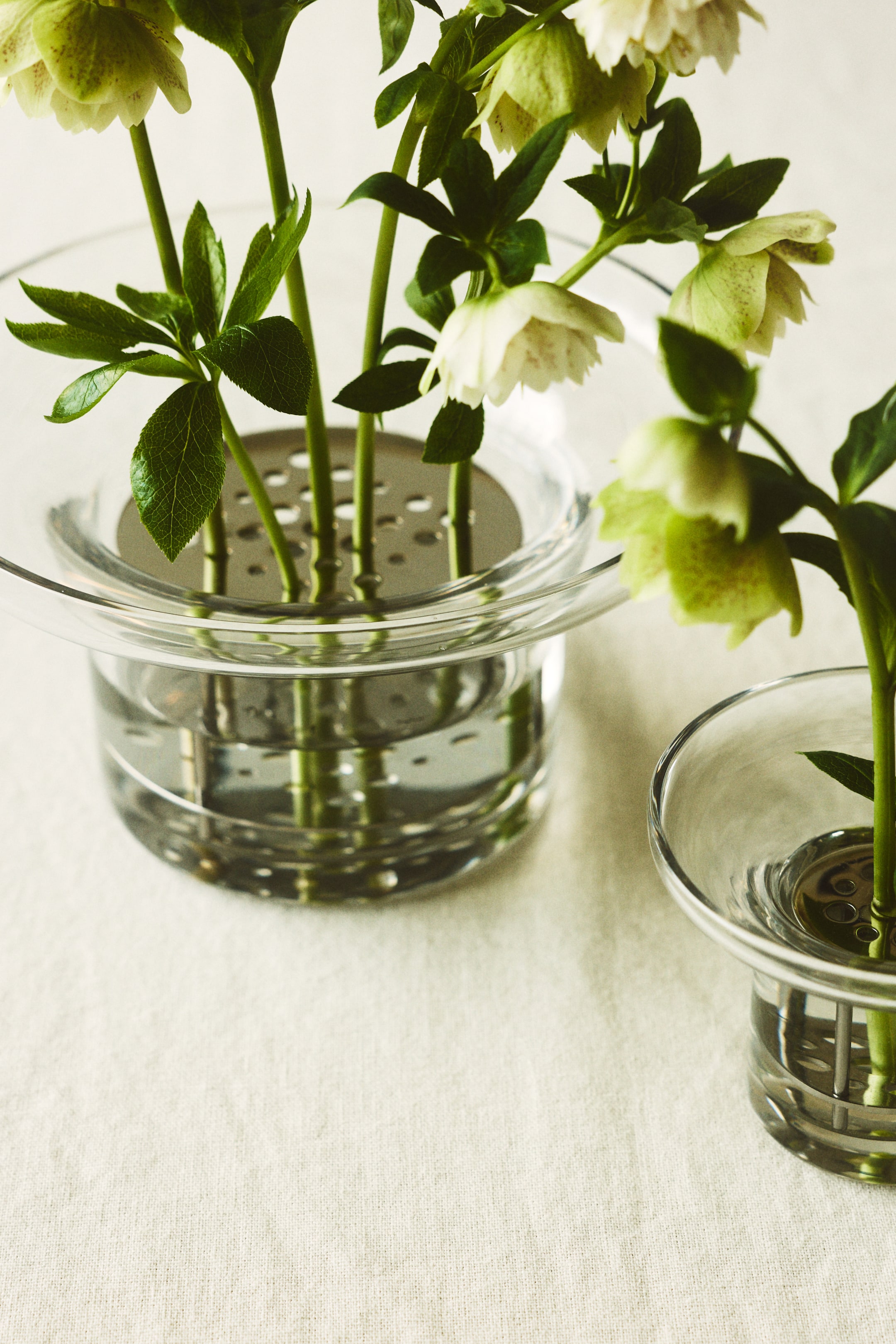 View larger image: A clear glass flower arranger, featuring a wide, shallow bowl top tapering to a cylindrical base, is holding light green hellebore flowers. A silver-toned metal flower frog with multiple holes is submerged inside, anchoring the flower stems in water.