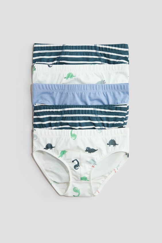 Детские хлопковые трусы H&M Boys' Briefs, 5 пар