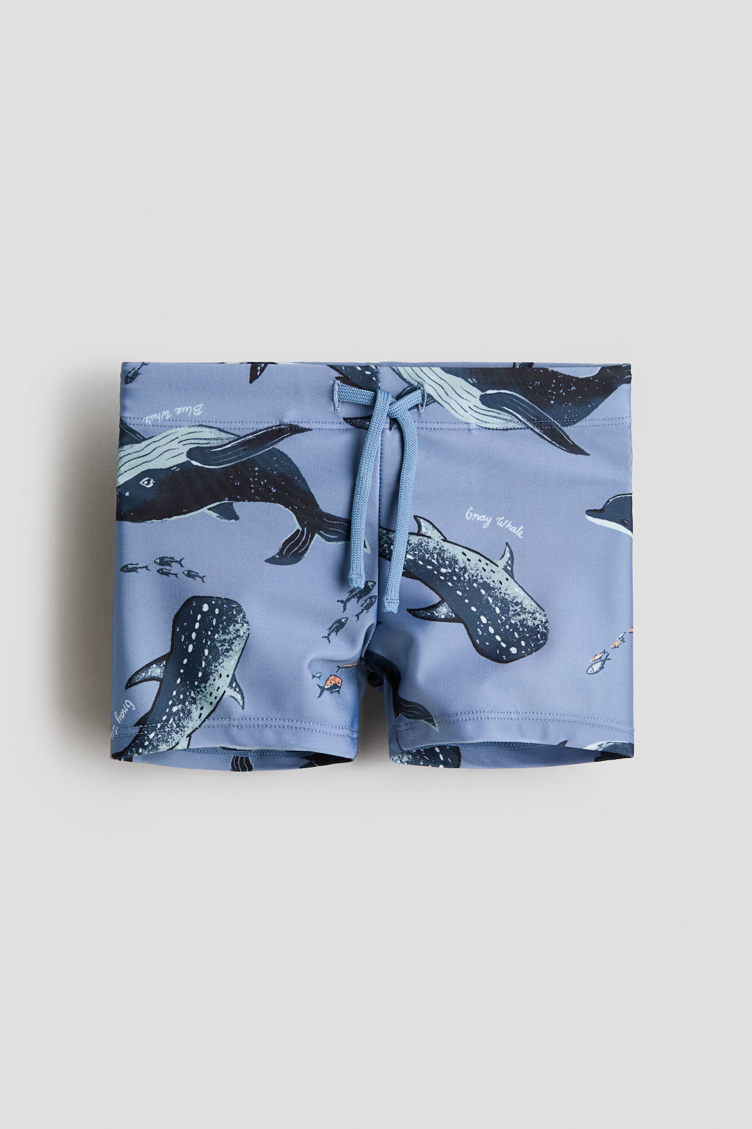 Traje de baño estampado - Azul/Ballenas/Gris claro/Dinosaurios/Turquesa tenue/Piñas