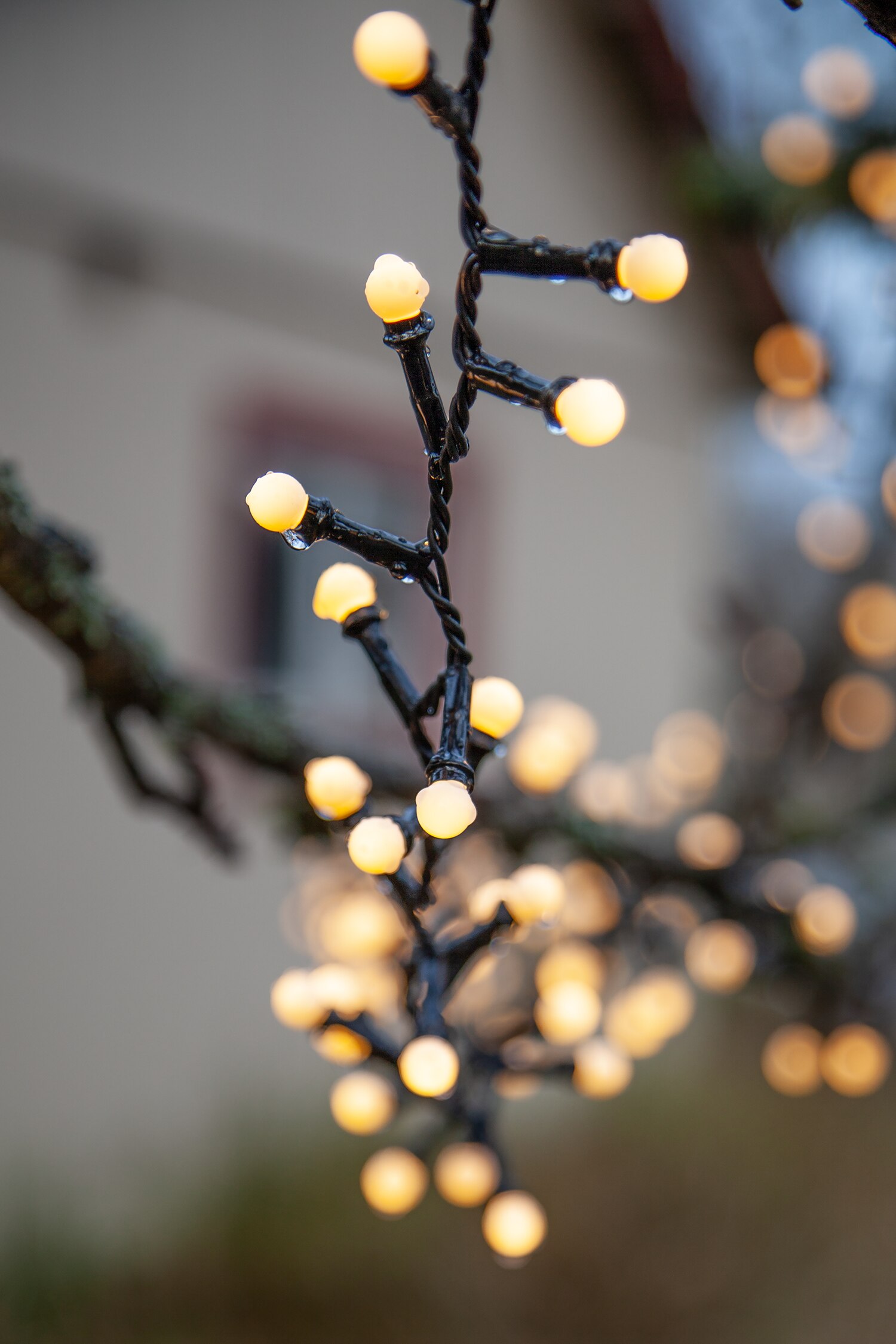 Ljusslinga Berry Mini Indoor/outdoor - Vit