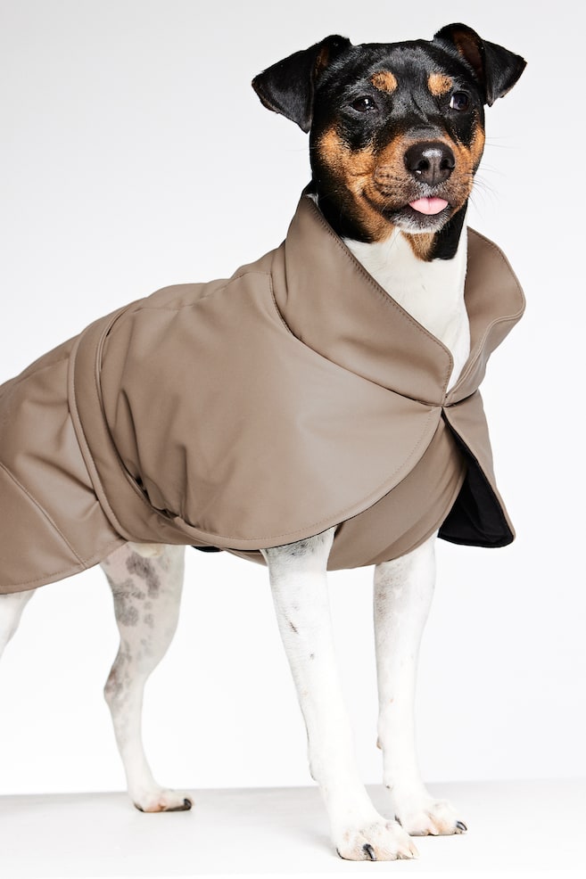 Coated dog jacket - Brown - 7