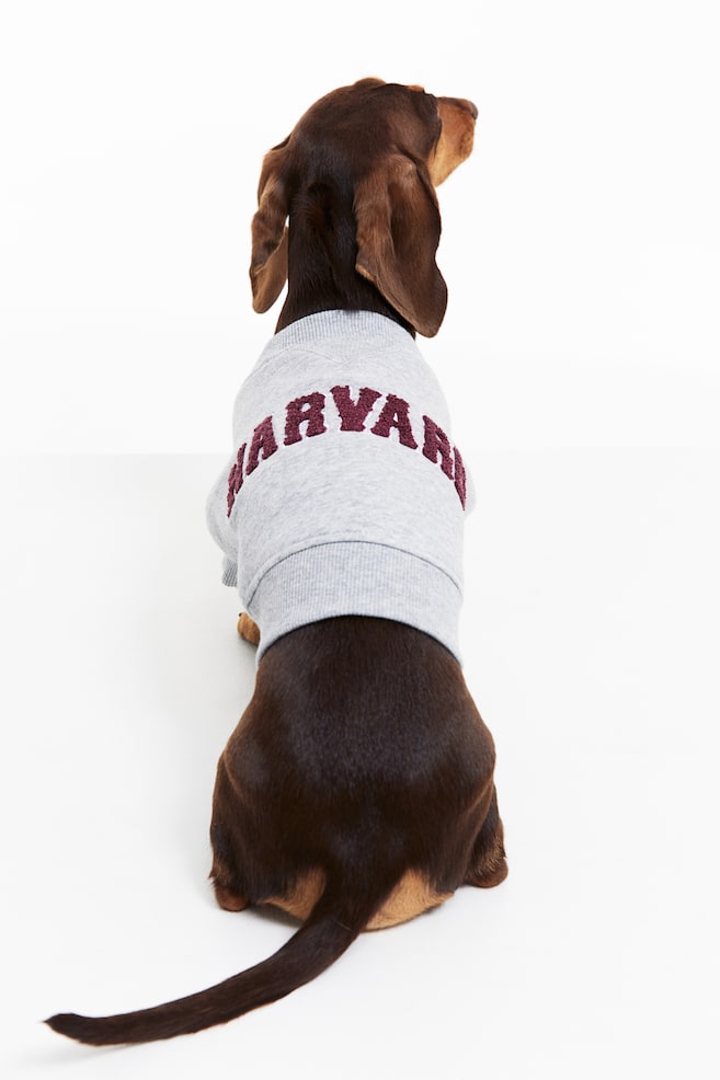 Embroidery-detail dog top - Grey marl/Harvard/White/Mickey Mouse/Dark red/Harvard/Grey marl/Mickey Mouse/dc - 5