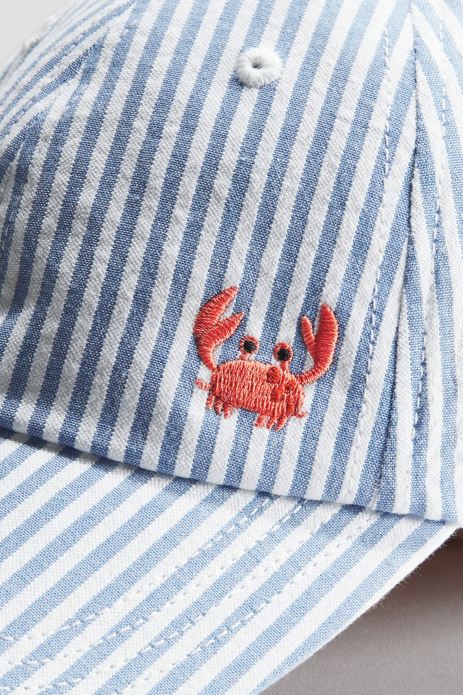 Motif-detail cap - Blue/Crab - 2