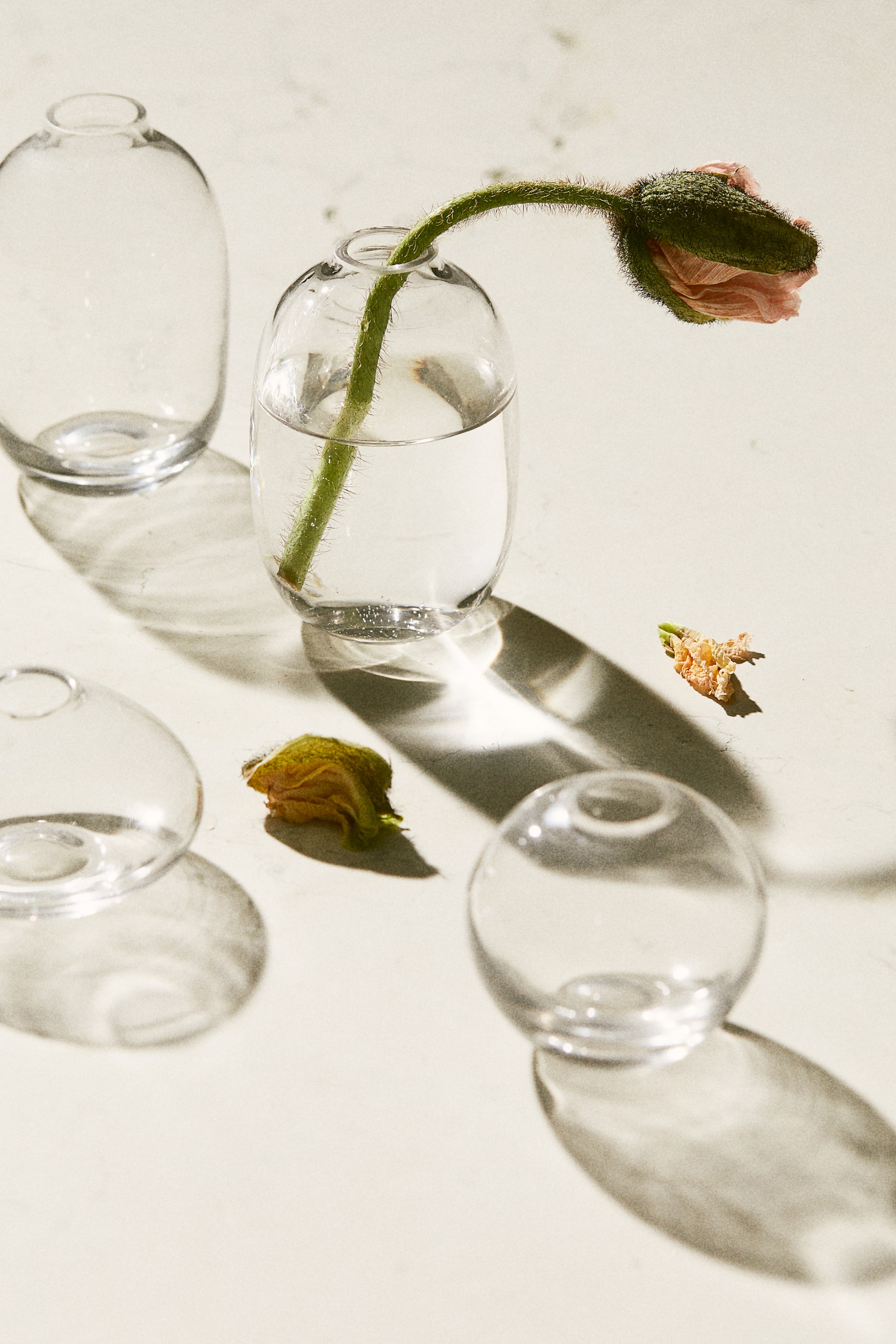 Clear Glass Mini Vase