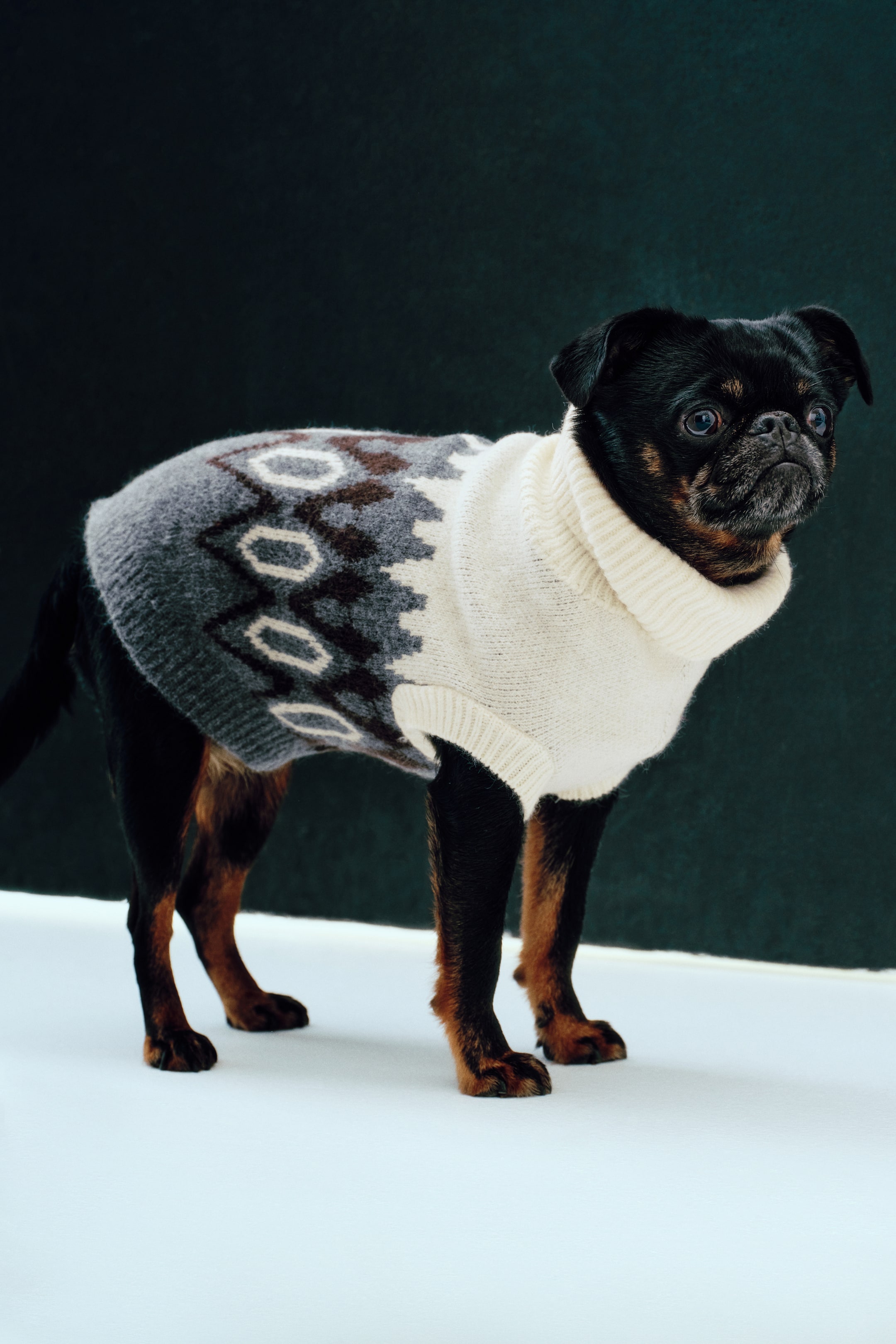 View larger image: Fine-knit dog jumper - Dark grey marl/Patterned | H&M 1