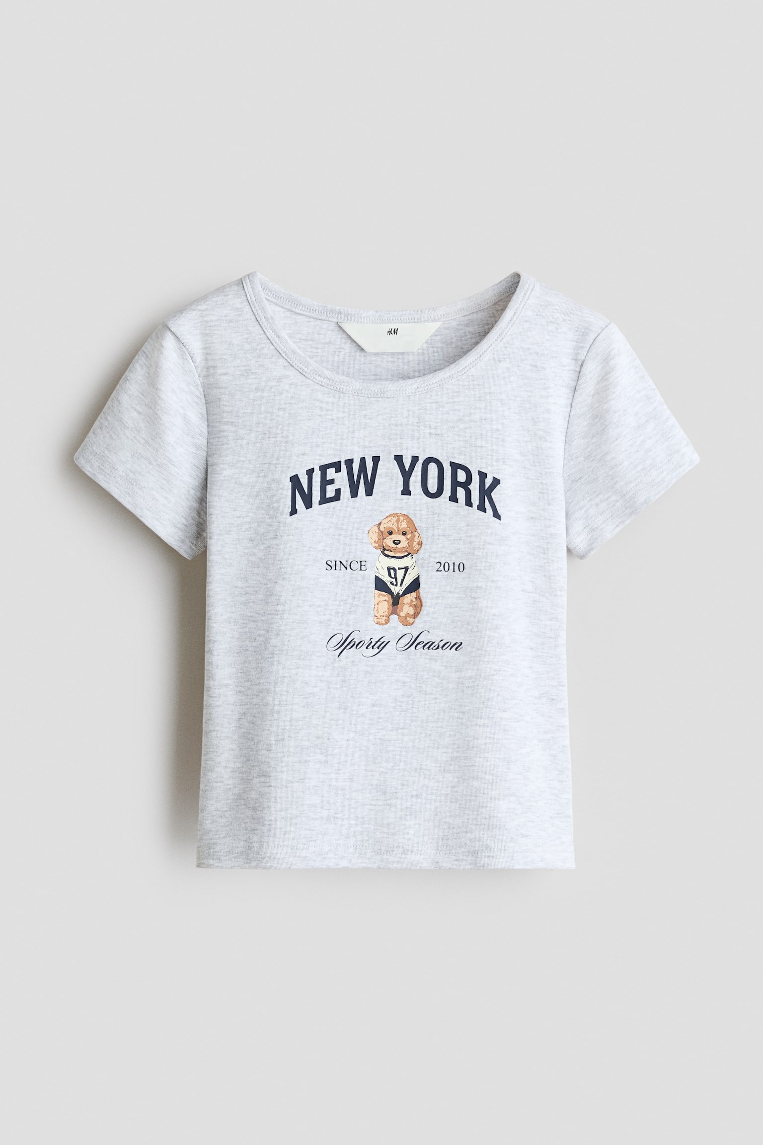 Printed T-Shirt - Light gray melange/New York