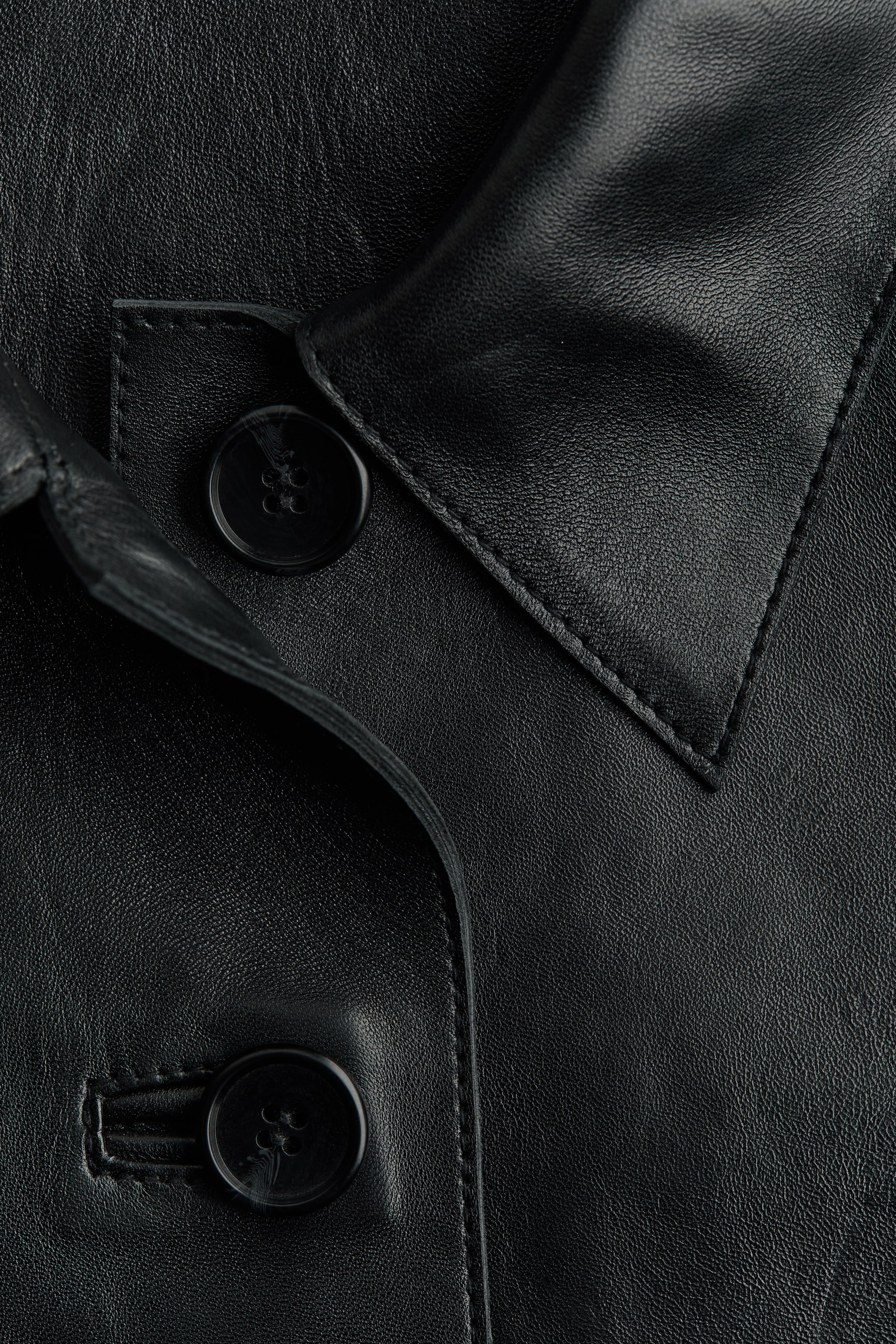 Leather Jacket with Collar