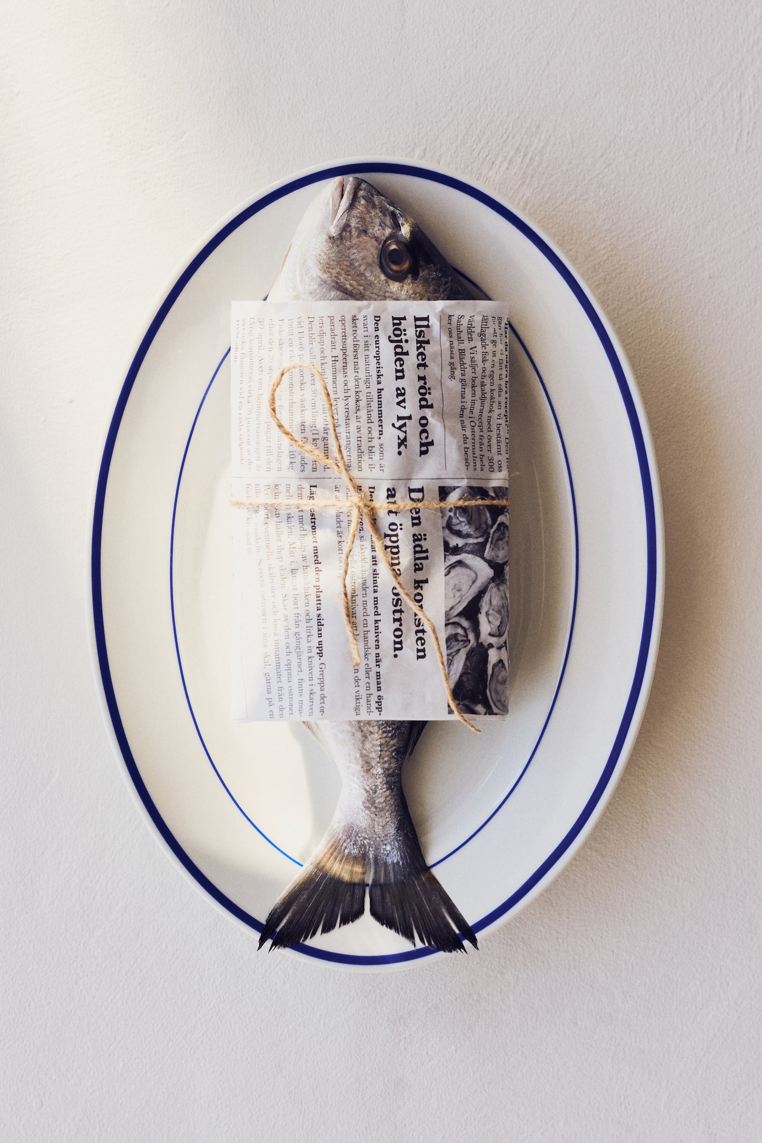 2-pack porcelain serving plates - White/Blue/White/Black/White/Red - 2