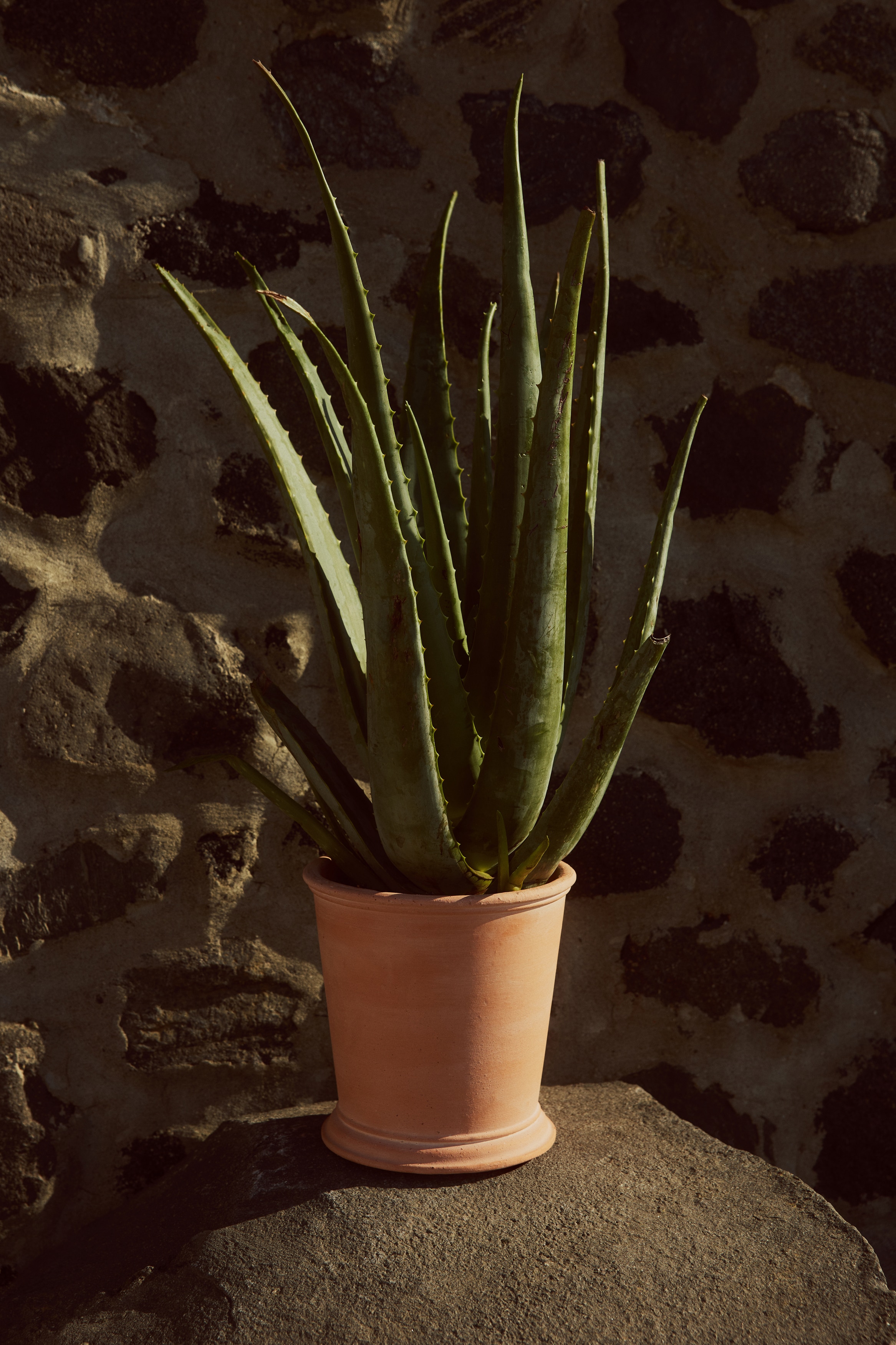 Terracotta bloempot - Terracotta