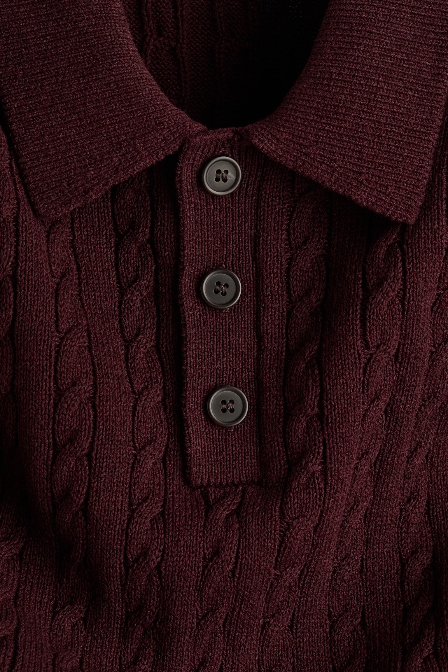 Мужской свитер H&M Relaxed-Fit Cable-Knit Polo, цвет: Бордовый — фото 7