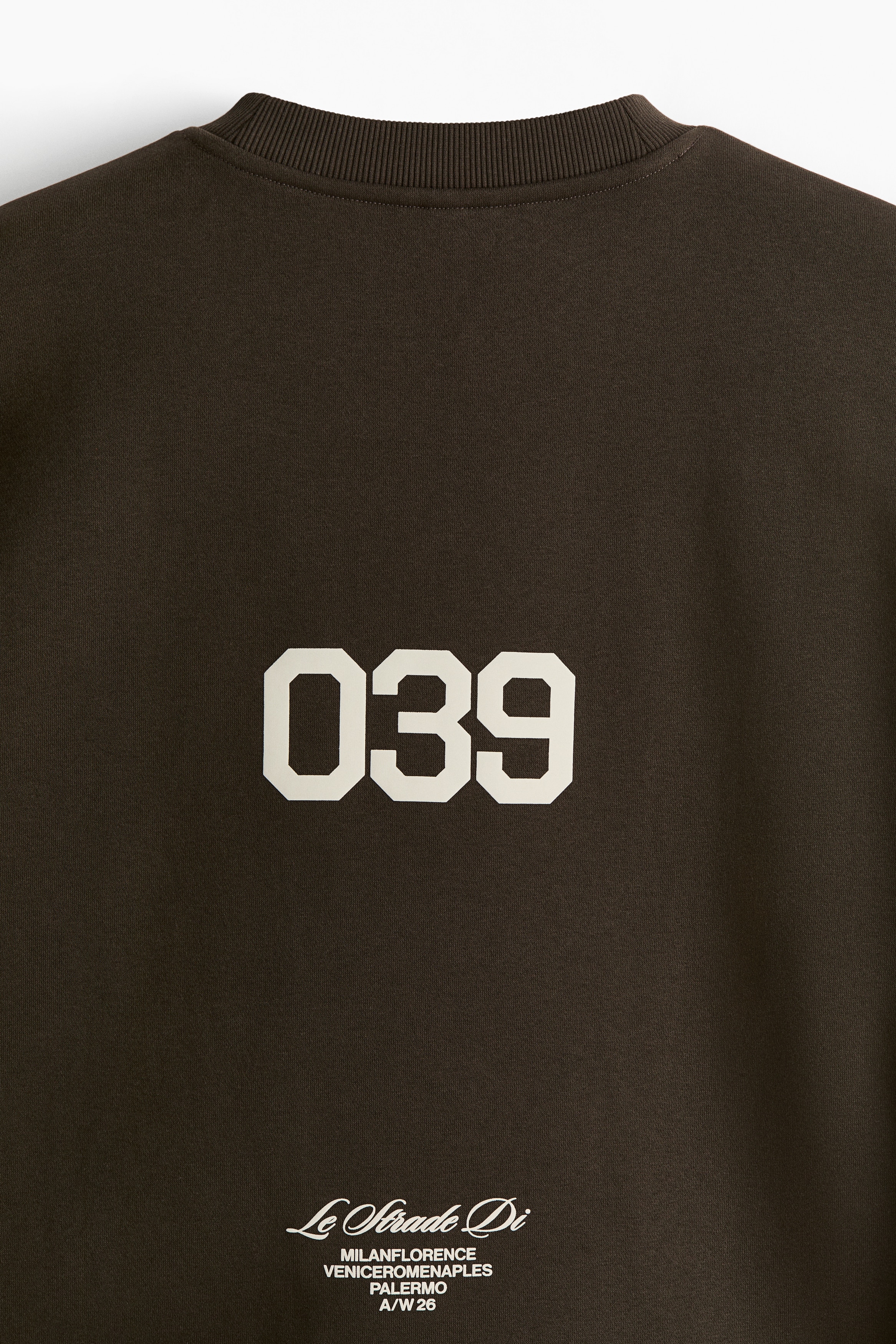 Oversized Fit Printed sweatshirt