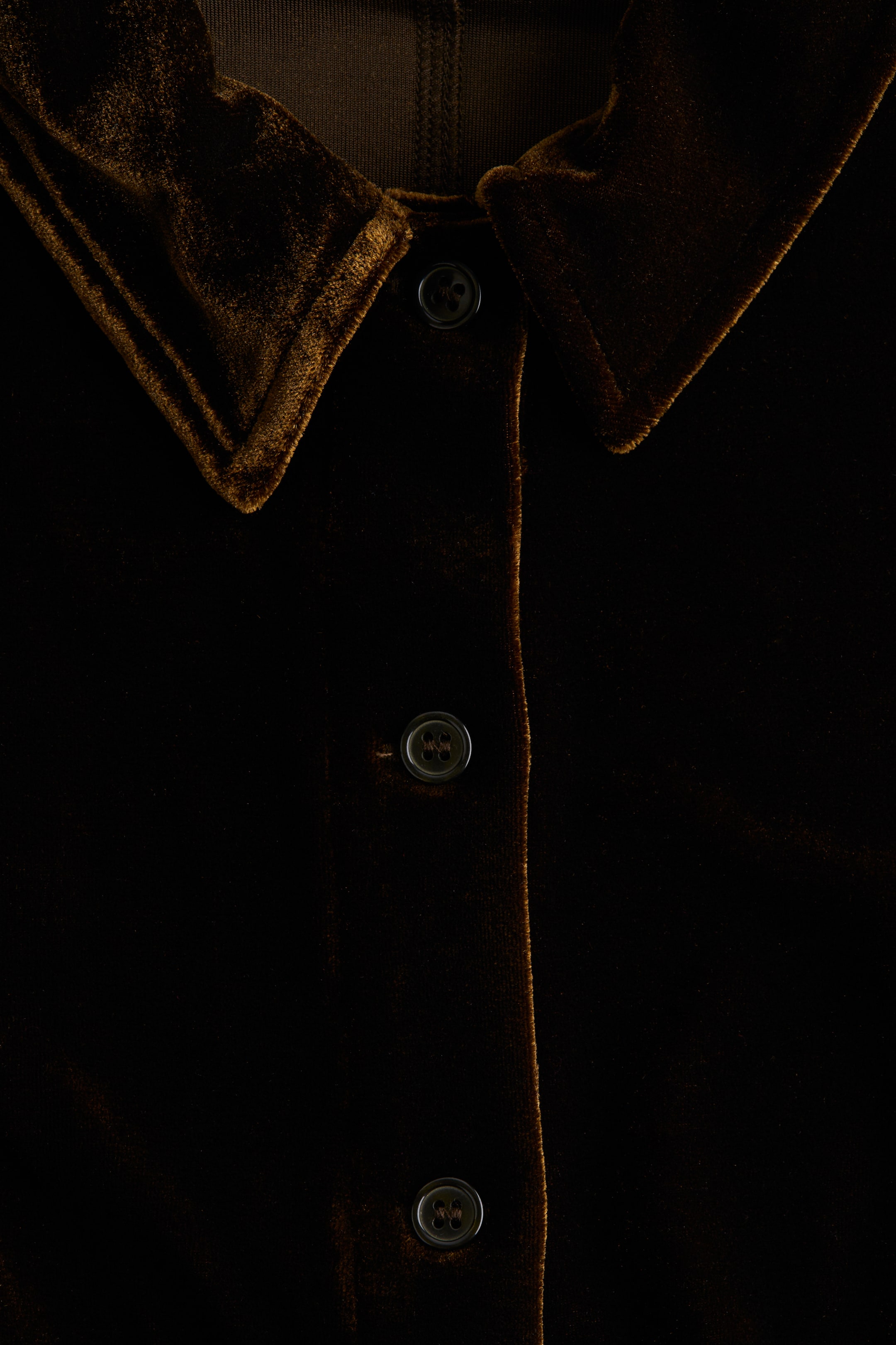 View larger image: A dark brown velvet garment is showing its front, featuring a classic point collar and a button placket with three visible dark buttons.