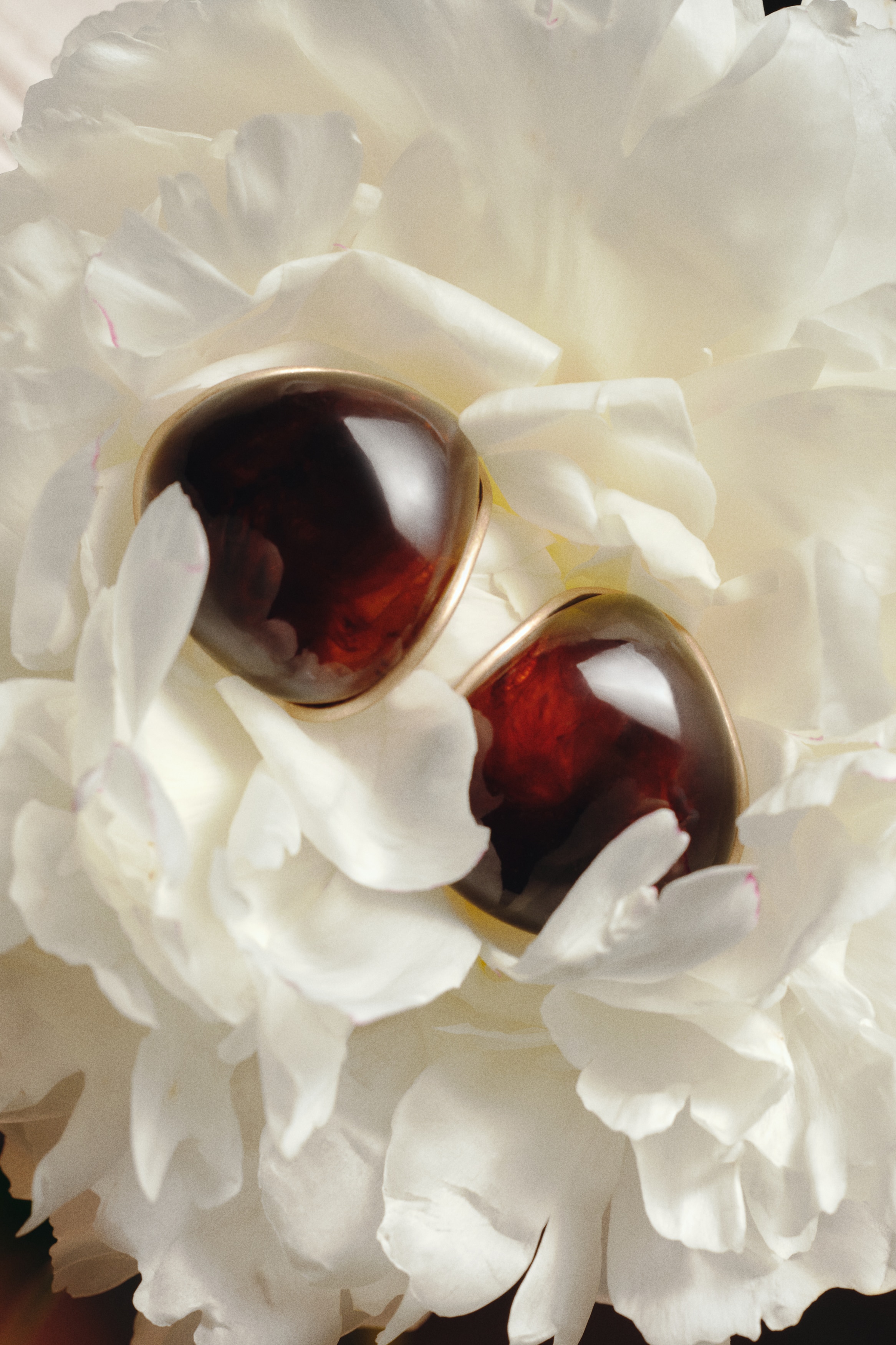 Ladies - Dark brown/Gold-coloured Dome earrings  - H&M