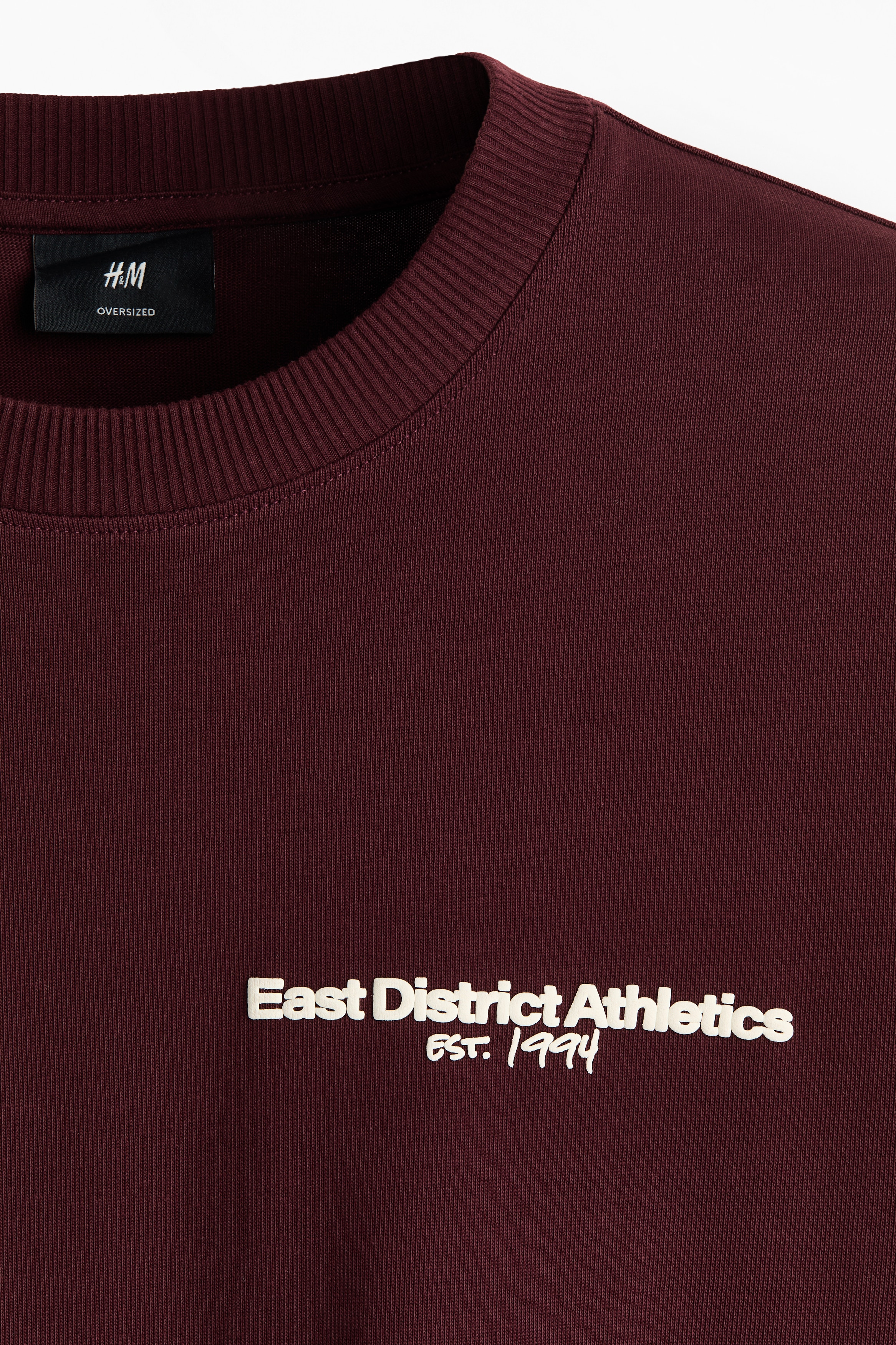 オーバーサイズフィット プリントTシャツ - ライトブルー／Sports 