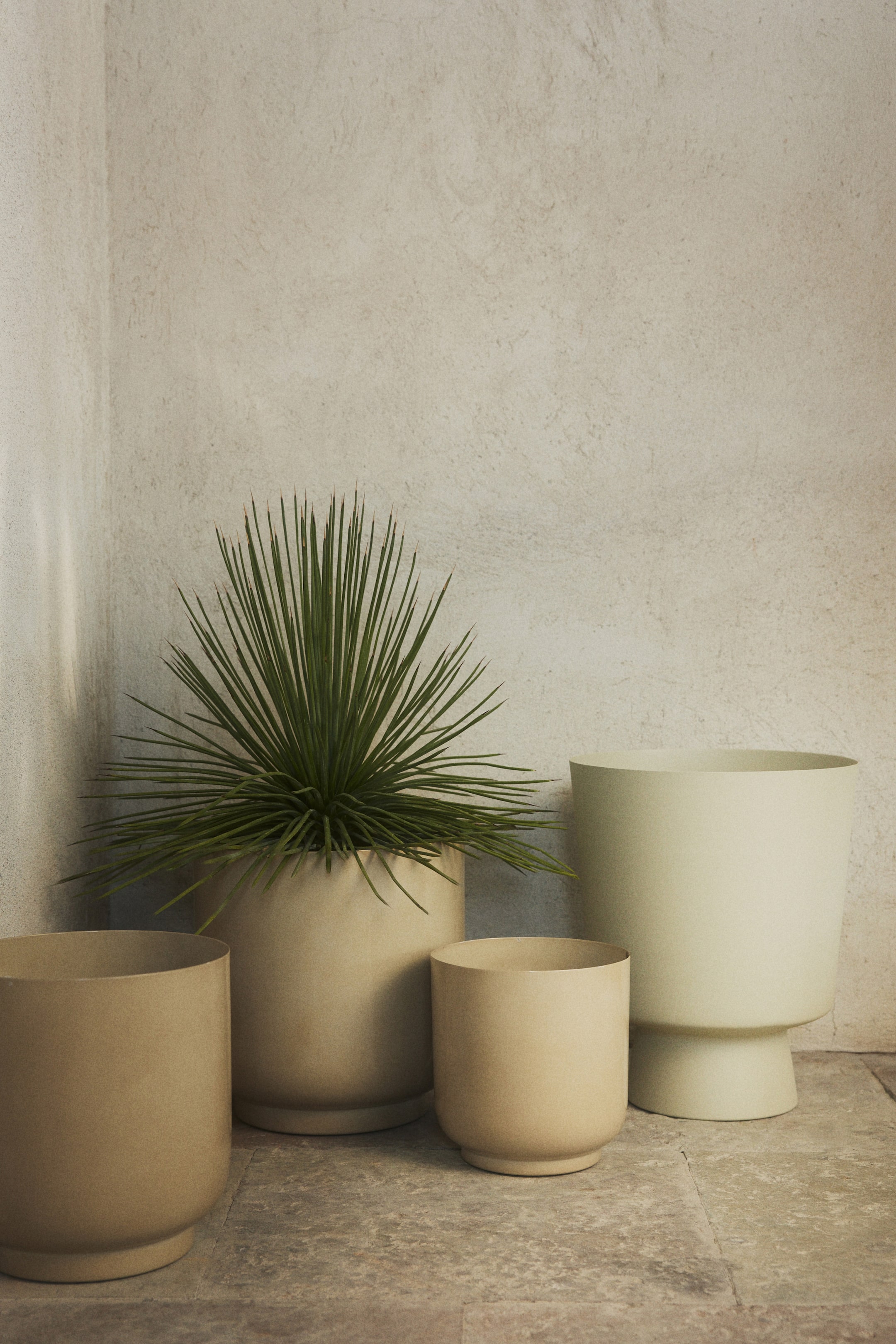 Visualizza immagine più grande: Quattro vasi cilindrici opachi per piante sono esposti, variando in dimensioni e colore. Un grande vaso beige chiaro contiene una pianta verde spinosa, un grande vaso verde pallido presenta una base prominente con piedini, e due vasi più piccoli color cuoio mostrano basi leggermente arrotondate.