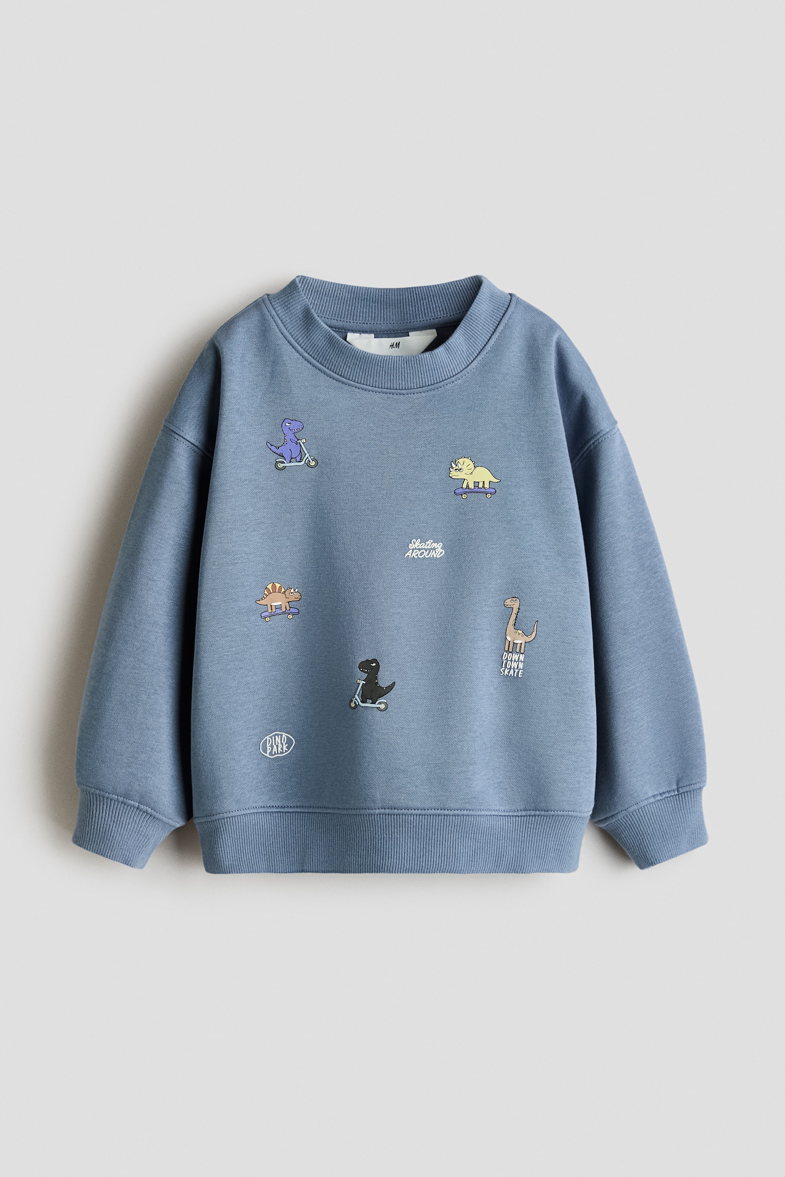 Printed Sweatshirt - Light dusty blue/dinosaurs/Cream/Sports Club/Cream/NASA/Charcoal gray/Dinosaur Crew/Cream/brown striped/Black/Boo!/Red/94