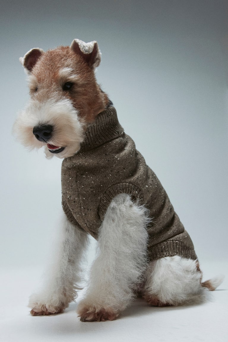 Hundepullover in Feinstrick - Dunkelbeigemeliert - Men | H&M AT