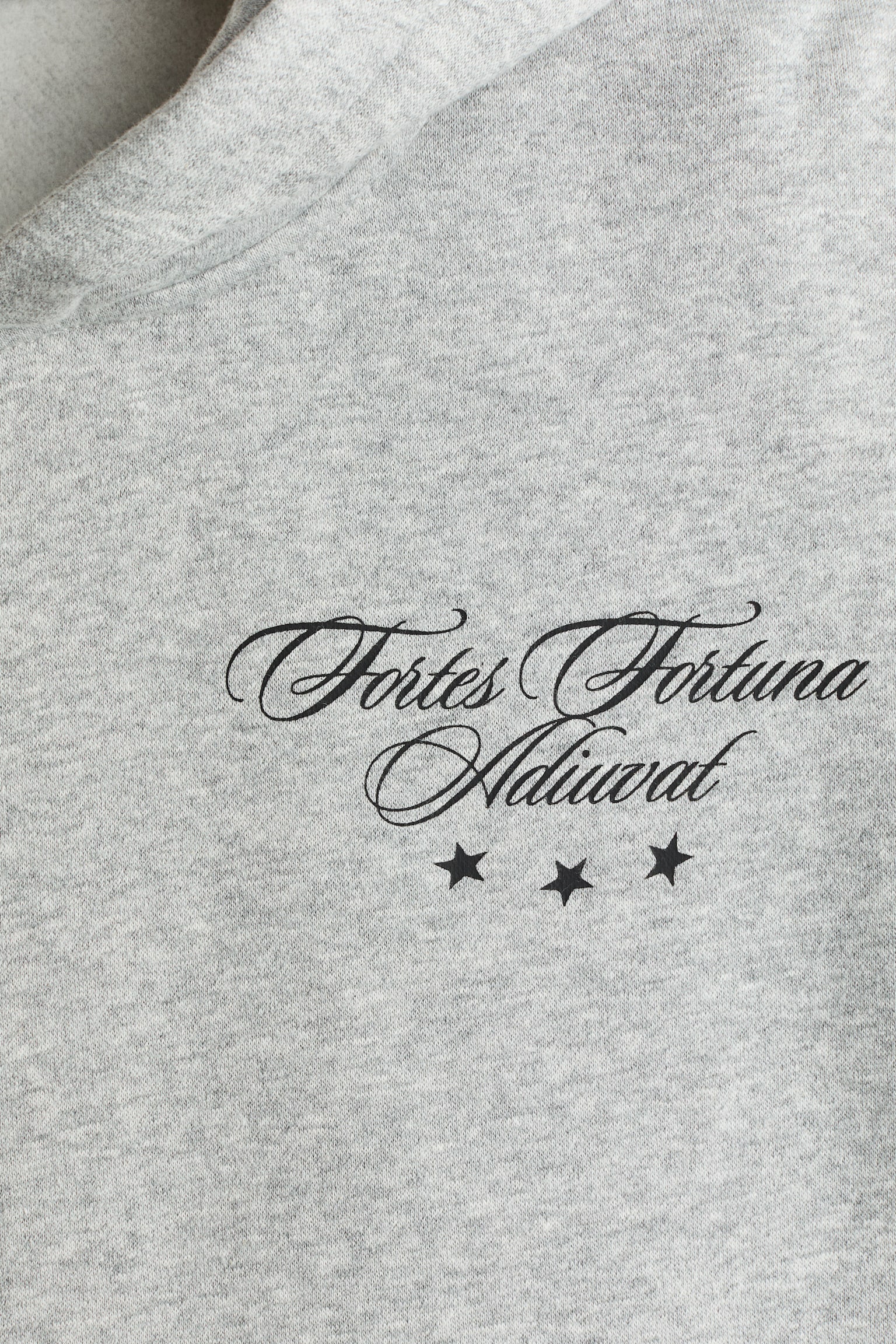 Loose Fit Hoodie - Grey marl/Euphoria/Black/Euphoria - 6