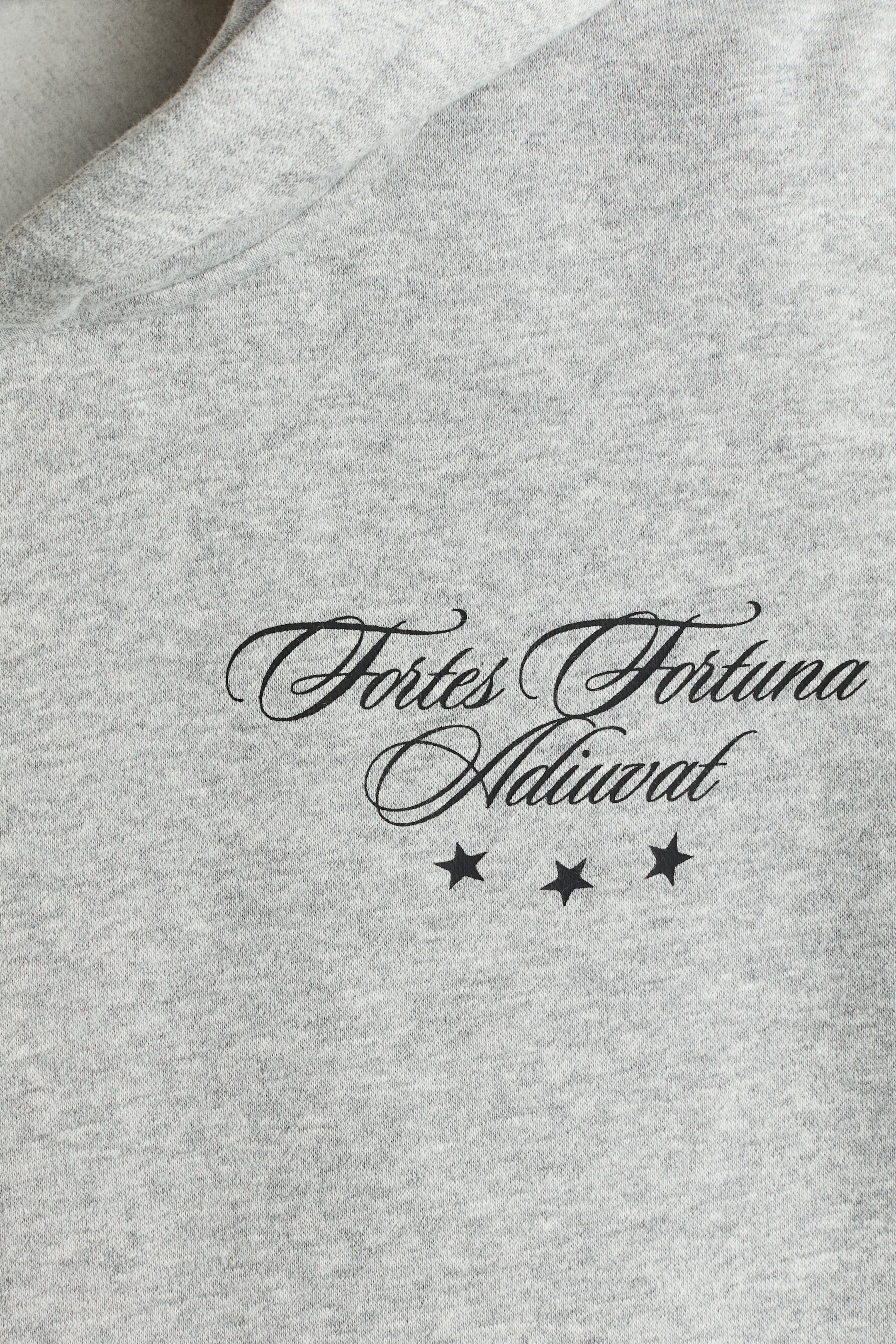 View larger image: Loose Fit Hoodie - Grey marl/Euphoria - Men | H&M GB 6