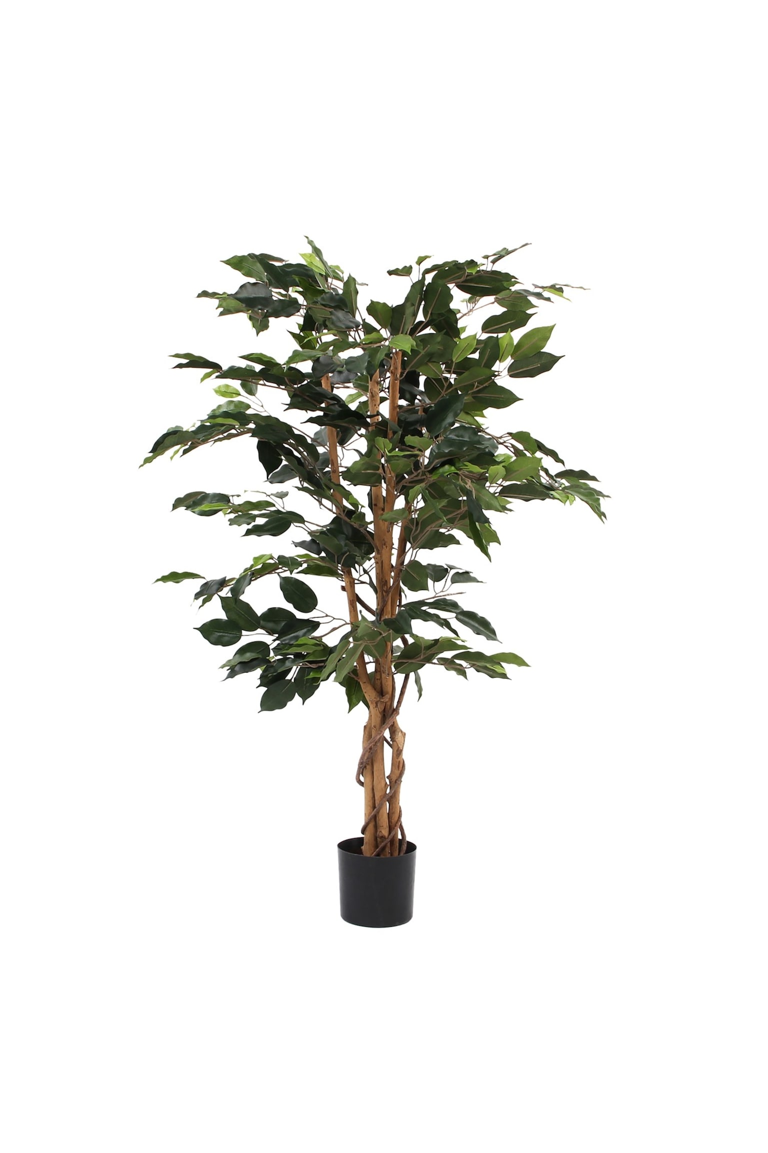 Ficus kunstplant - Groen/Groen - 1