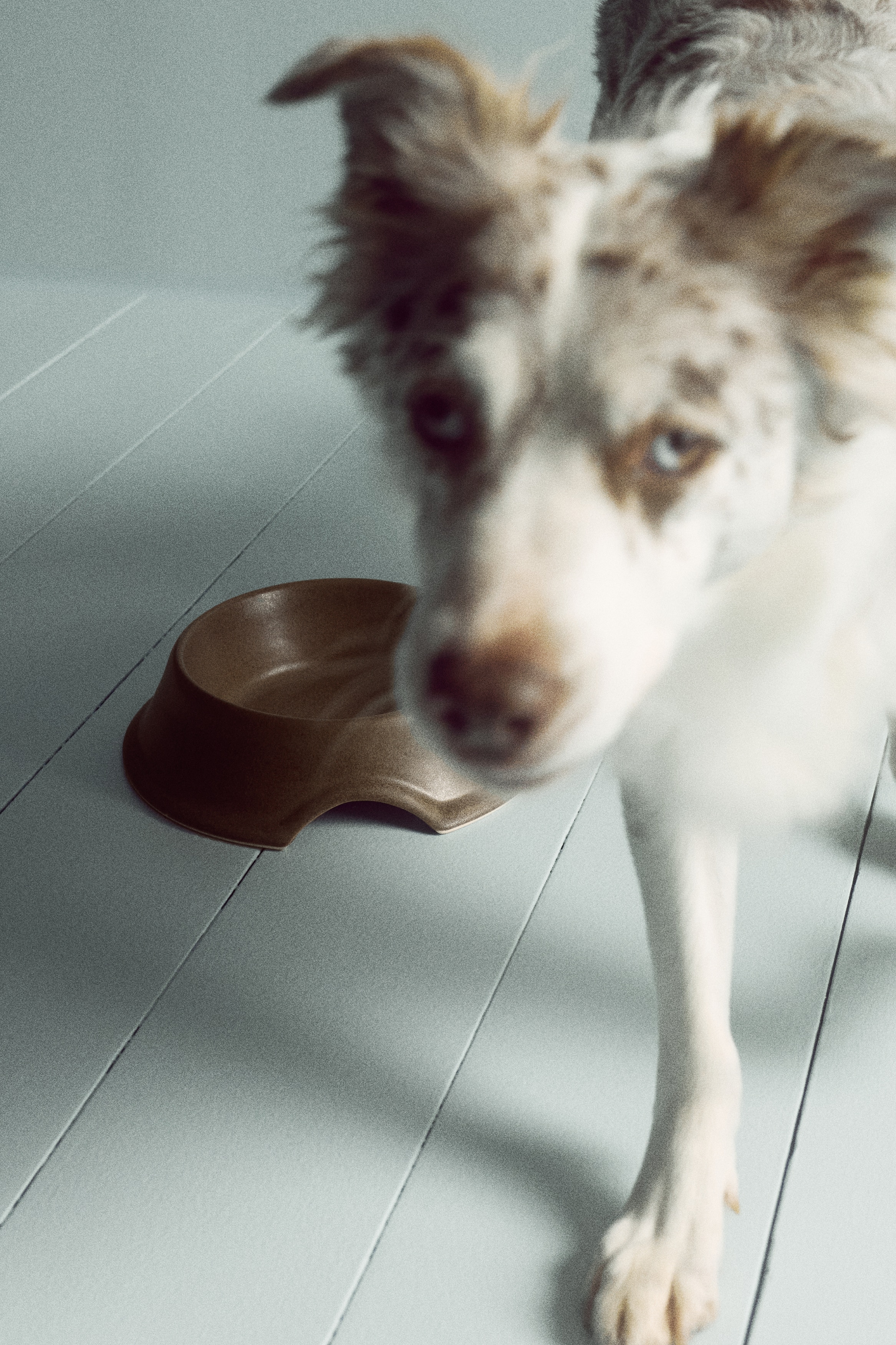 Un cuenco cerámico marrón para mascotas está colocado en un ángulo frontal, mostrando una base acampanada con un pequeño recorte arqueado en el borde delantero para facilitar su levantamiento. El cuenco presenta un esmalte texturizado y moteado en un tono cálido terroso, con un interior liso y circular.