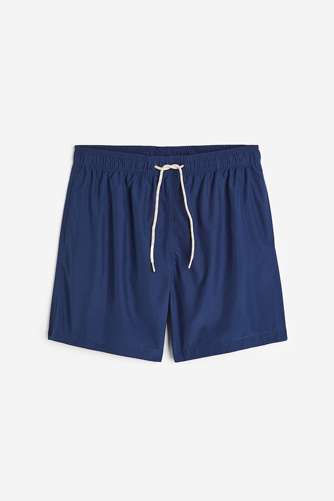 Swim shorts - Navy blue/Black/Navy blue/Sage green/dc - 1