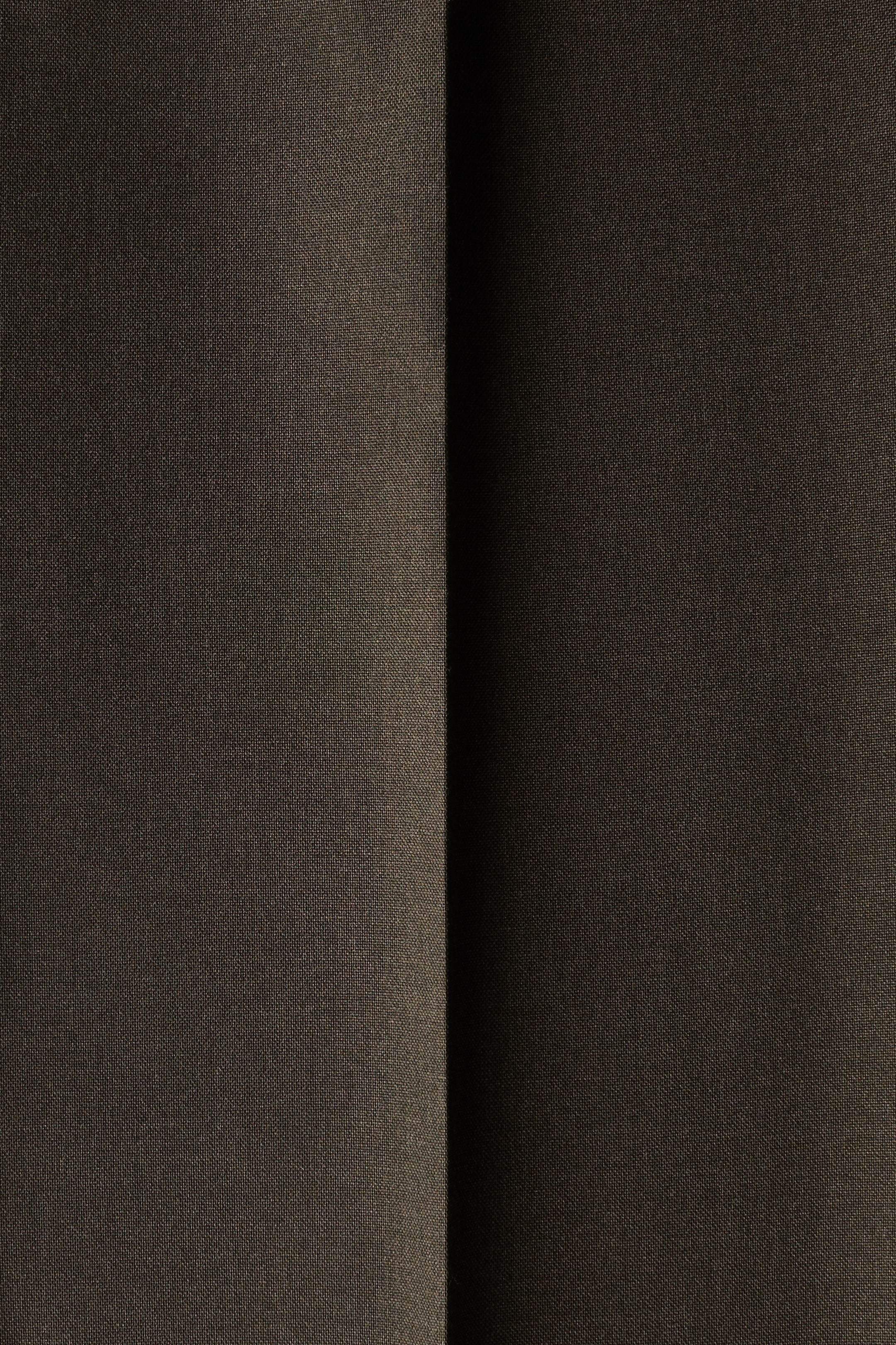 Regular-Fit Tailored Pants