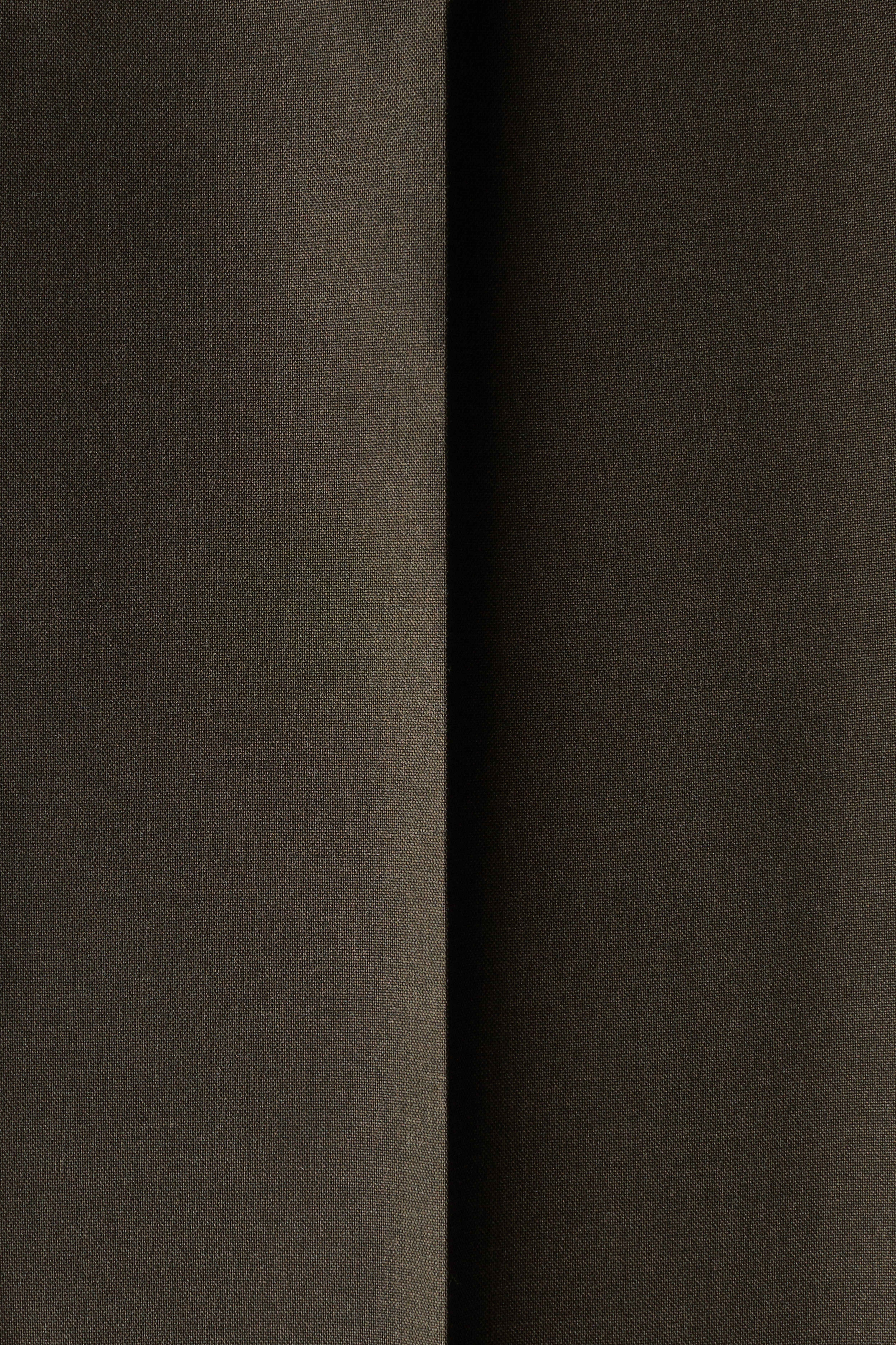 Regular-Fit Tailored Pants