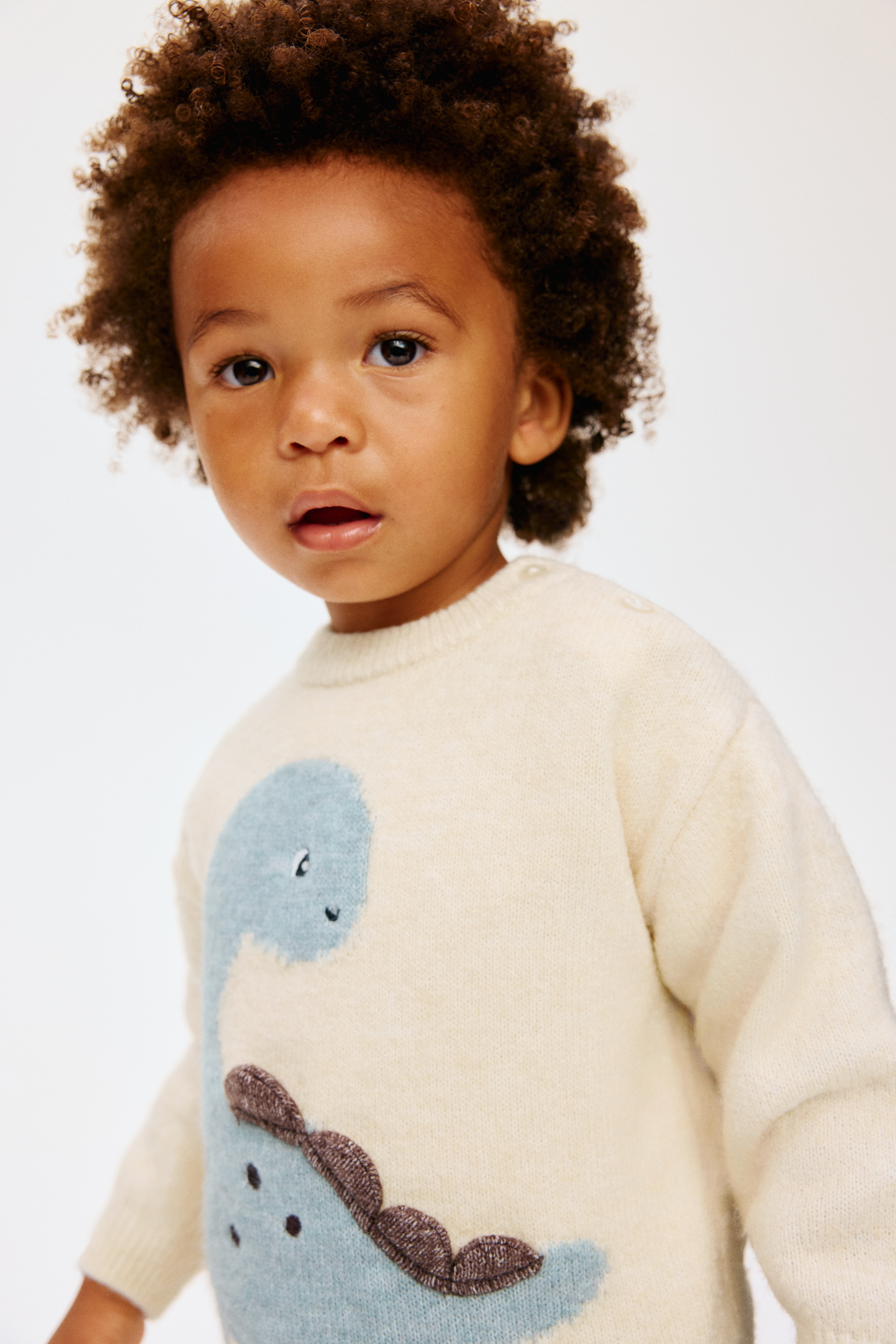 ENFOLD エンフォルド DINOSAUR HIGH NECK KNIT ENFOLD エンフォルド DINOSAUR HIGH NECK KNIT ENFOLD NECK DINOSAUR