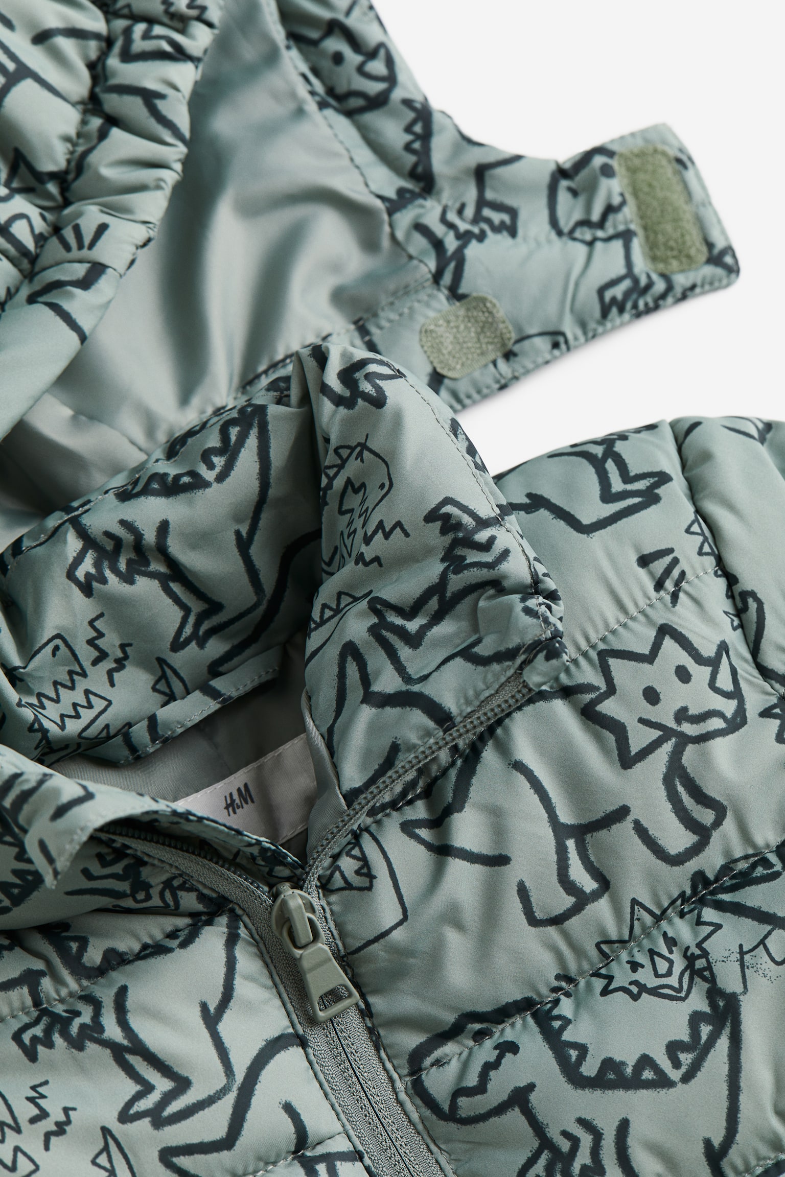 Padded Jacket - Light khaki green/Dinosaurs - 2