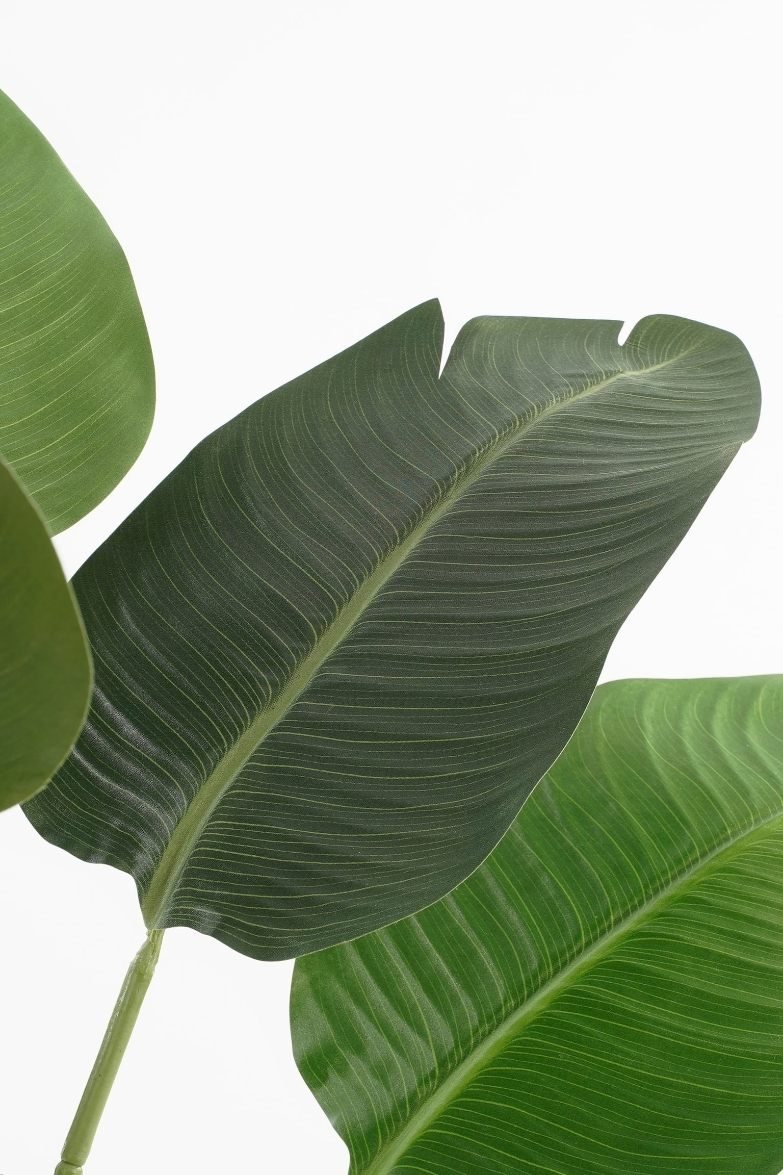 Banantræ Kunstig Plante - Grøn