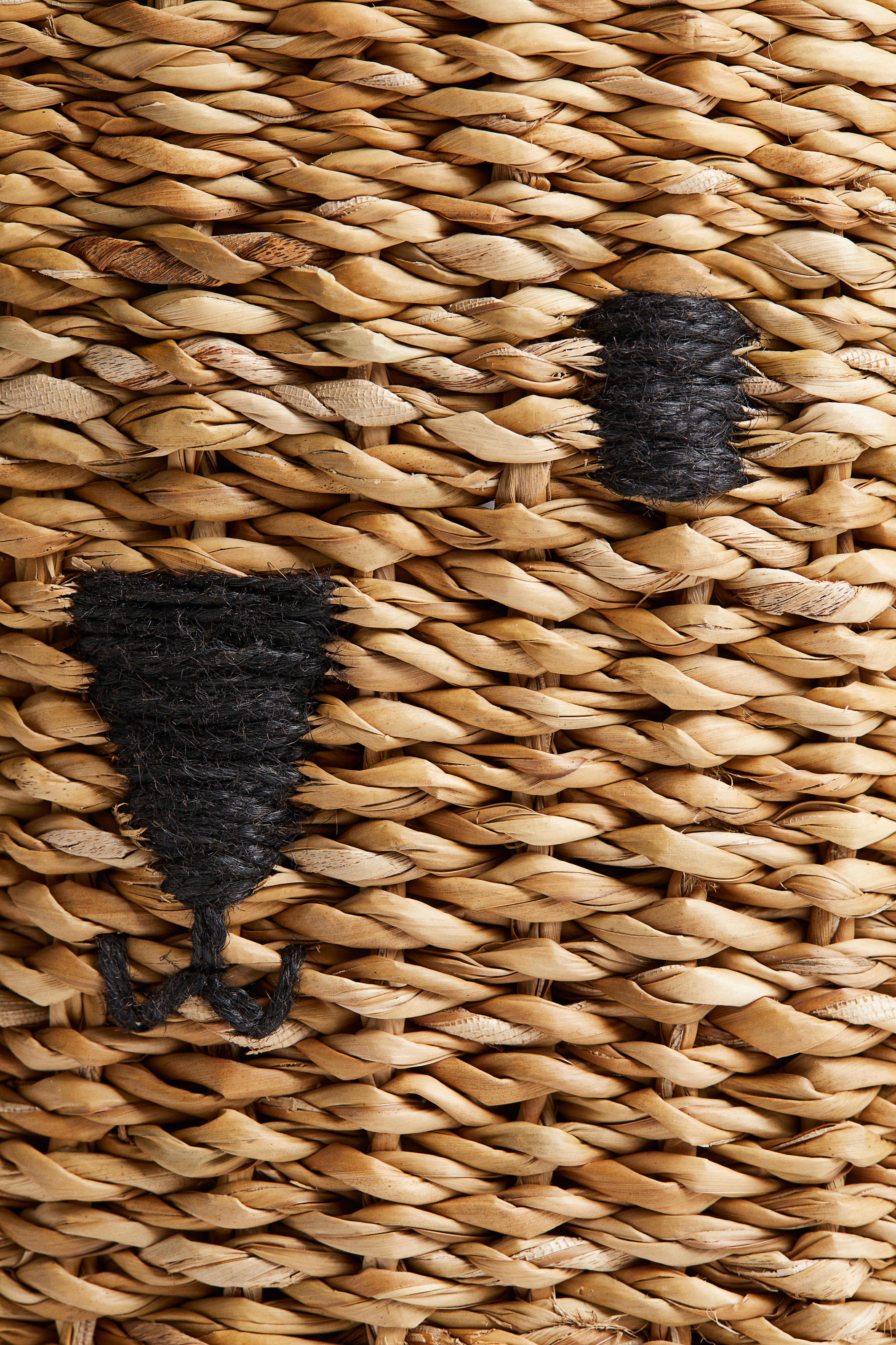 Storage Basket with Lid
