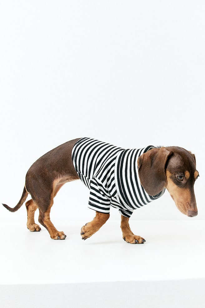 Polo-neck dog jumper - Black/Striped/Beige/Striped - 4
