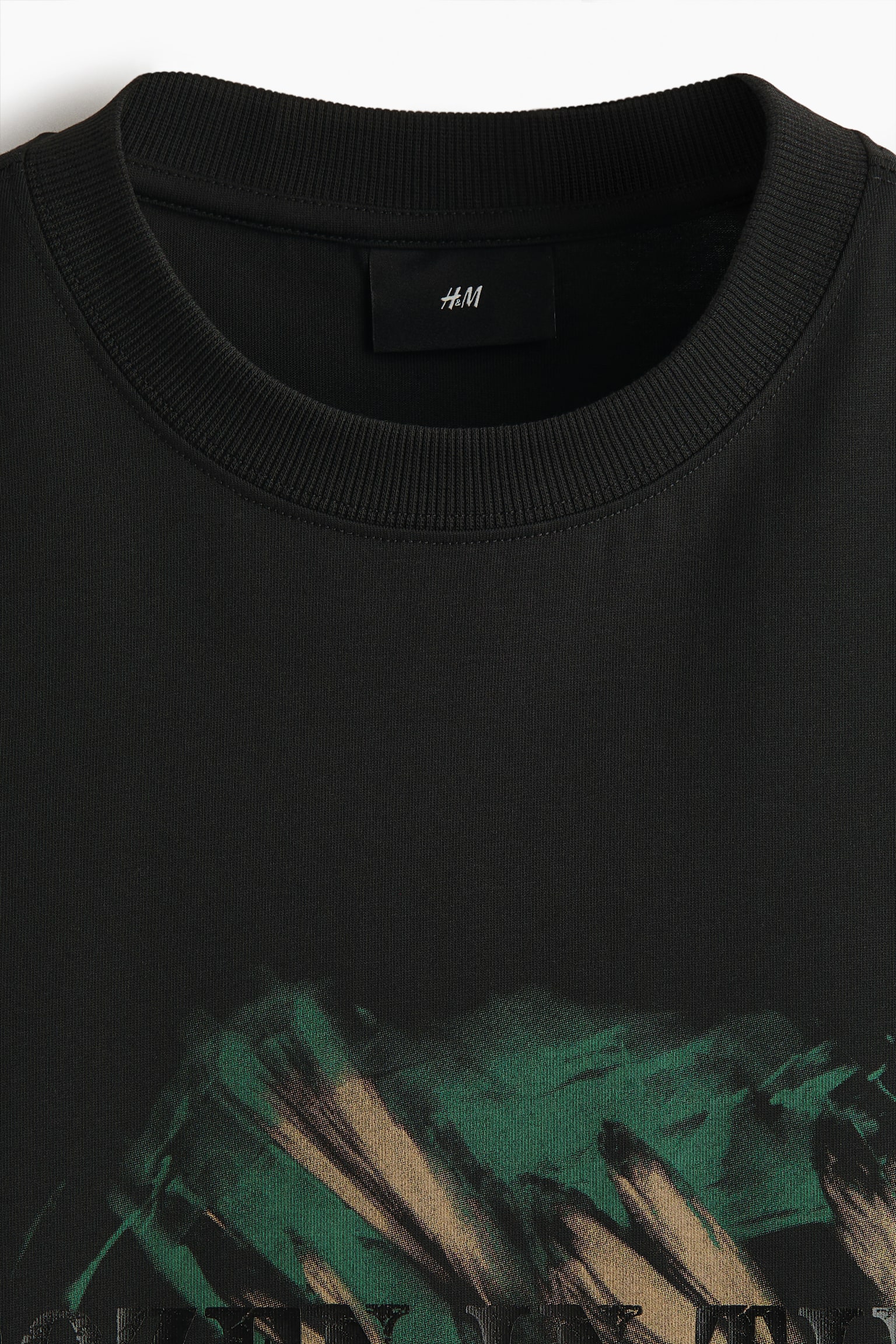 Loose Fit Printed T-shirt - Black/Frozen in Time/White/Tracing Time/Dusty green/Stone Whispers - 3