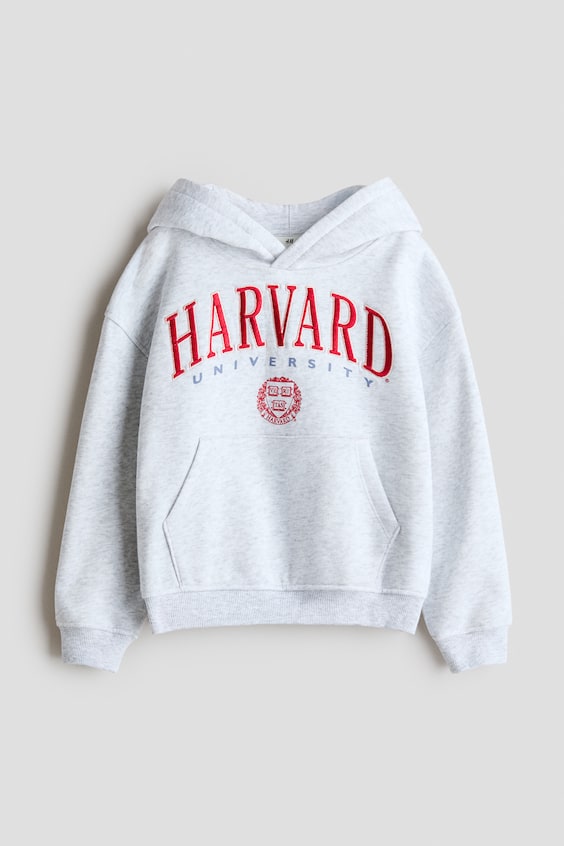 H&M Embroidered Hoodie