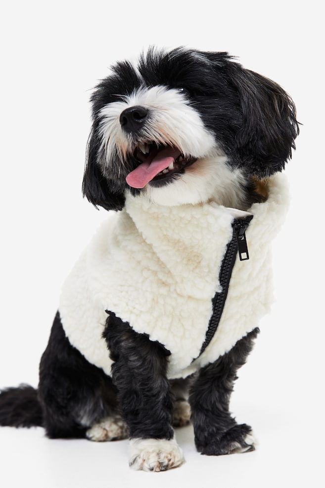 Teddy dog jacket - White/White/Checked - 4
