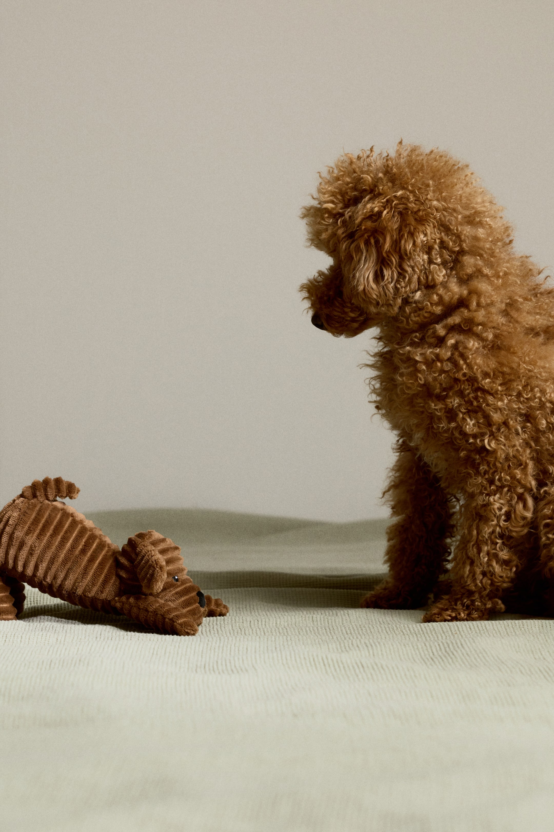 Visualizza immagine più grande: Un cucciolo di peluche in velluto a coste marrone è in una posa giocosa e allungata. Le sue zampe anteriori sono estese in avanti e la testa è rivolta verso il basso, con occhi e naso ricamati.