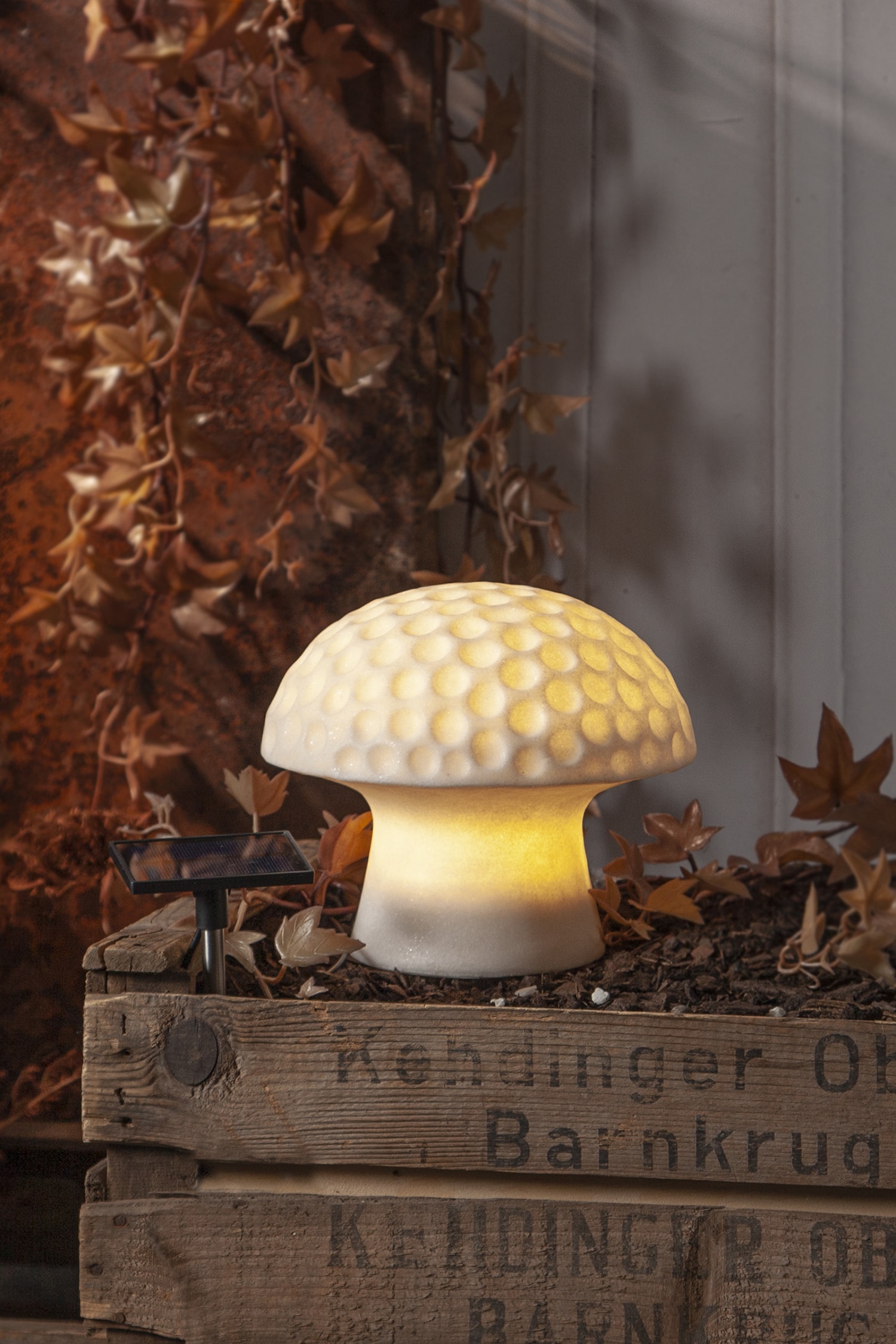 Solarbeleuchtung Sandy 15,7 Cm - Weiß