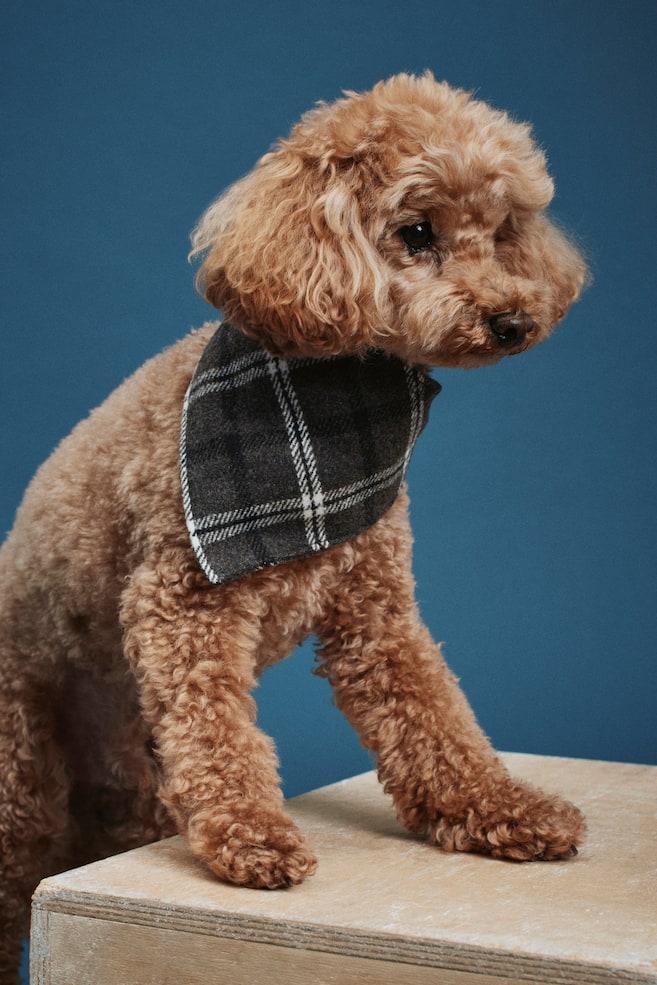 Dog Scarf - Dark gray/plaid/Pale pink/plaid - 3