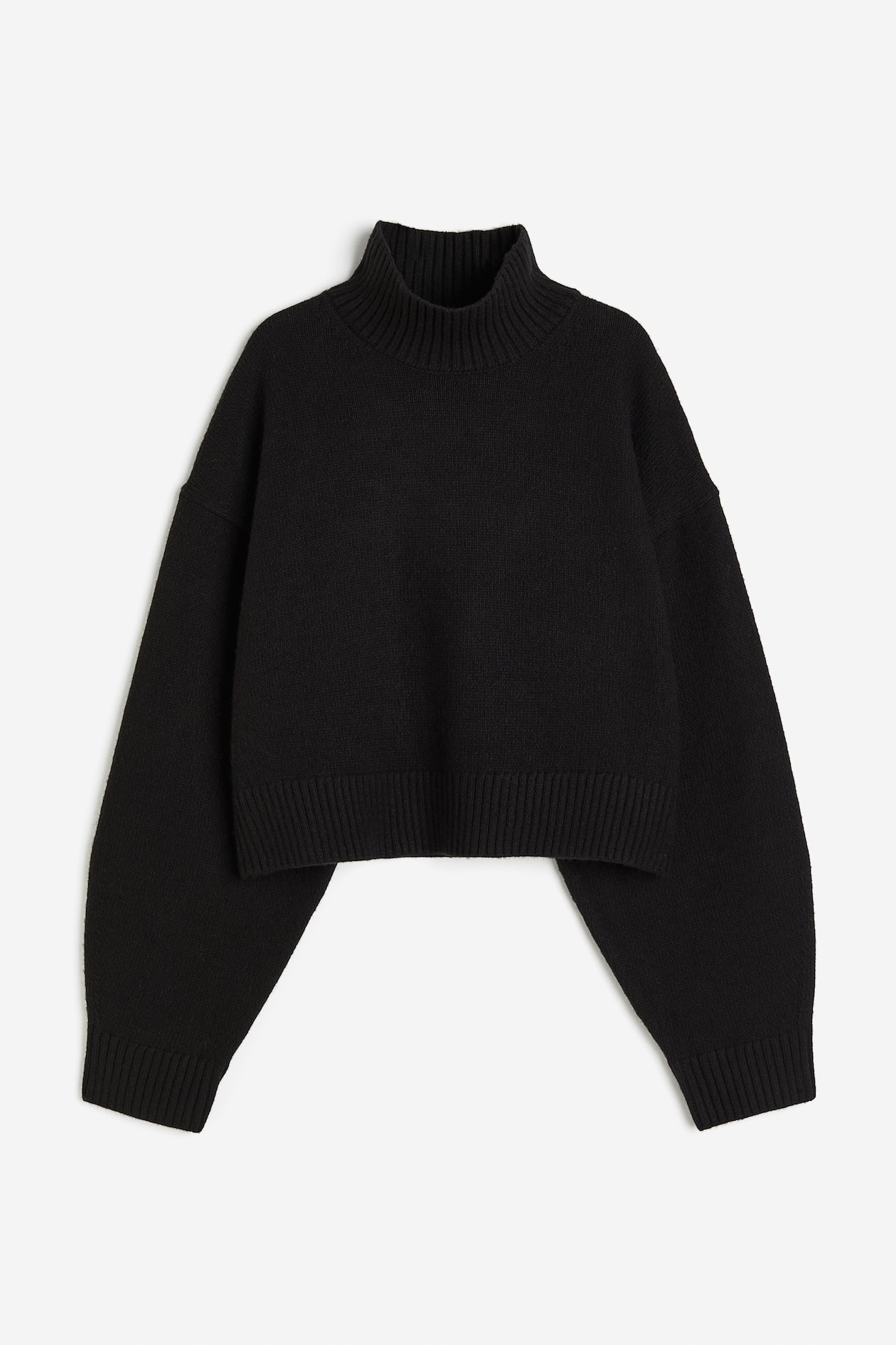 Oversized turtleneck jumper Black Ladies H&M GB - Main Image