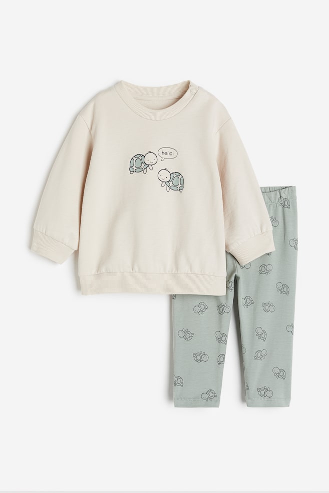 2-piece sweatshirt and leggings set - Dusty green/Turtles/Pink/Floral/Beige/Giraffes/Dark blue/Striped/dc - 1